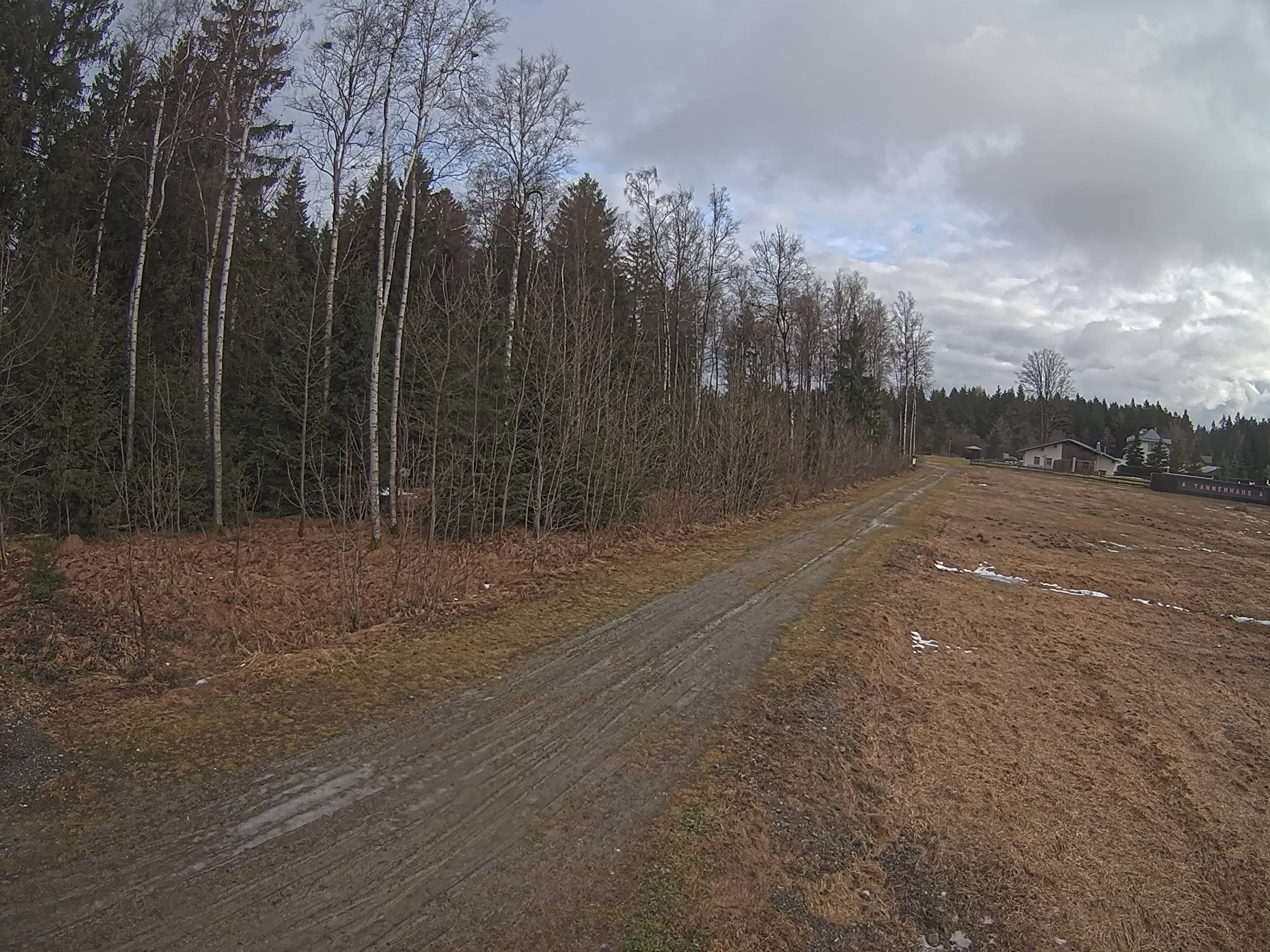 Webcam Schöneck Bogen