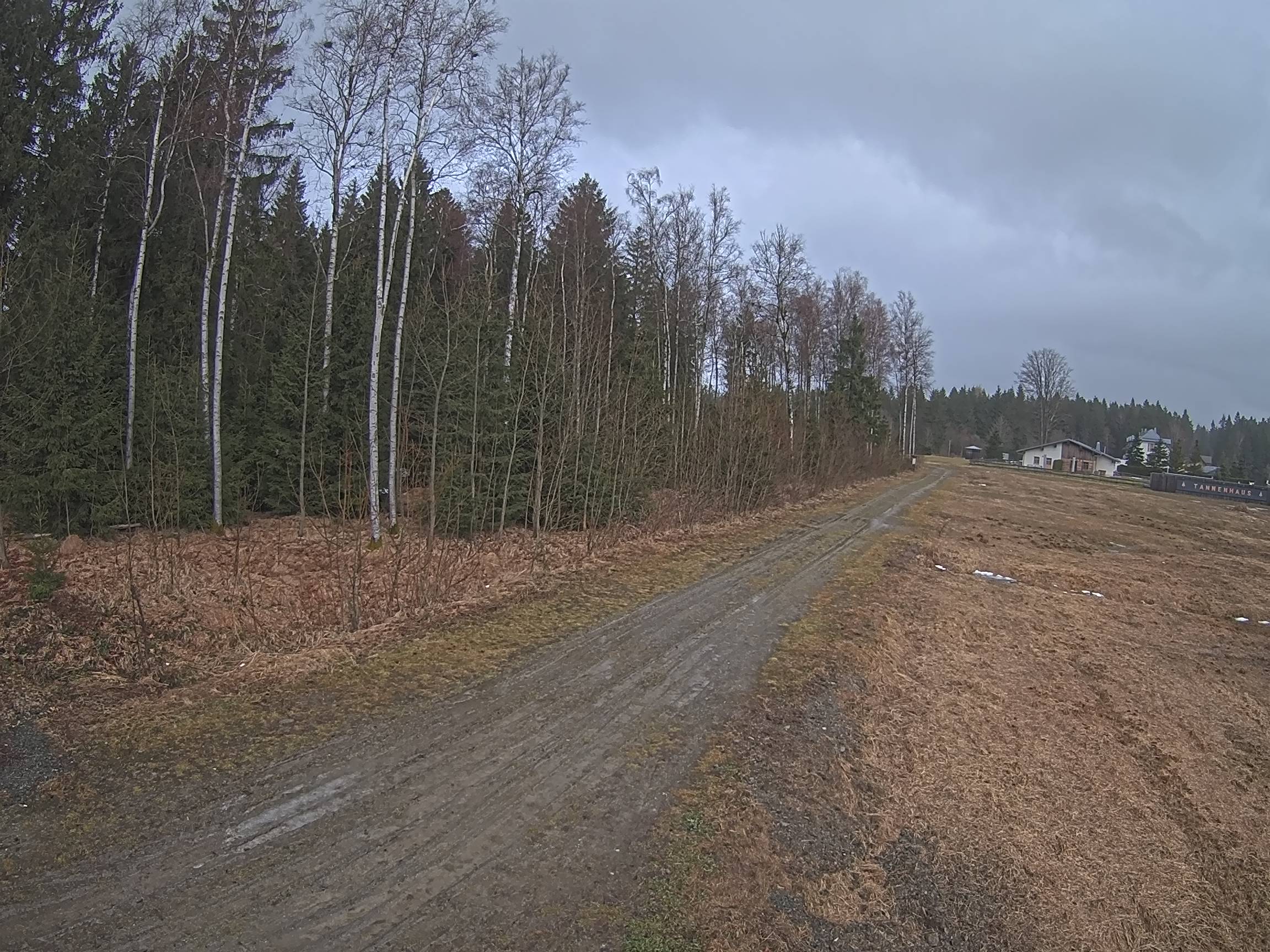 Webcam Schöneck Bogen