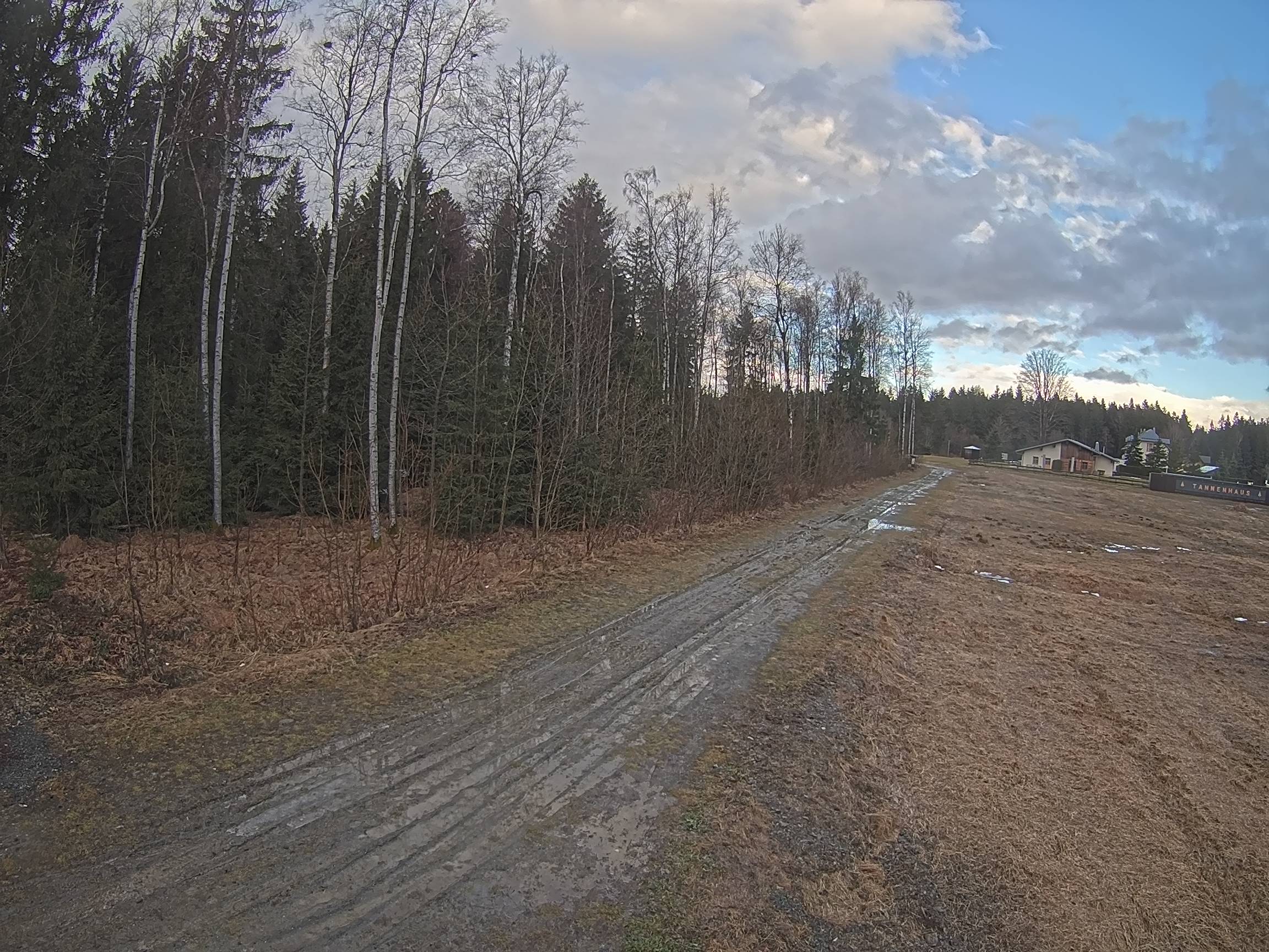 Webcam Schöneck Bogen