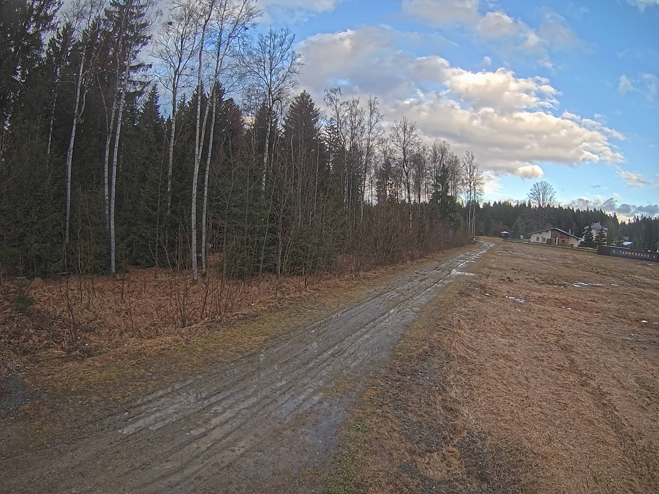 Webcam Schöneck Bogen