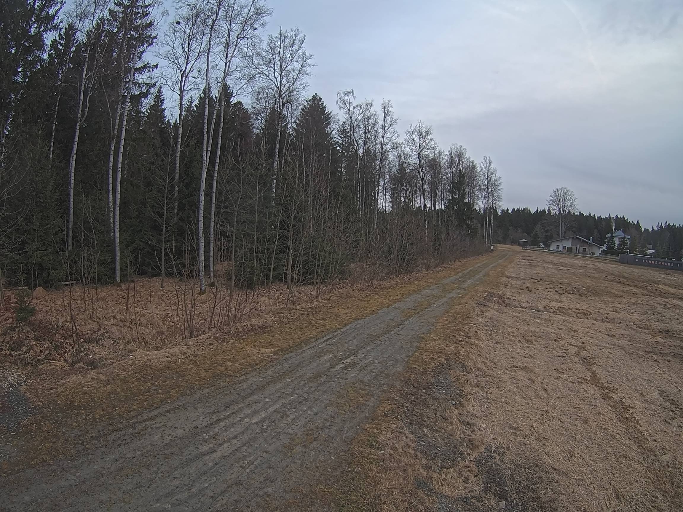 Webcam Schöneck Bogen