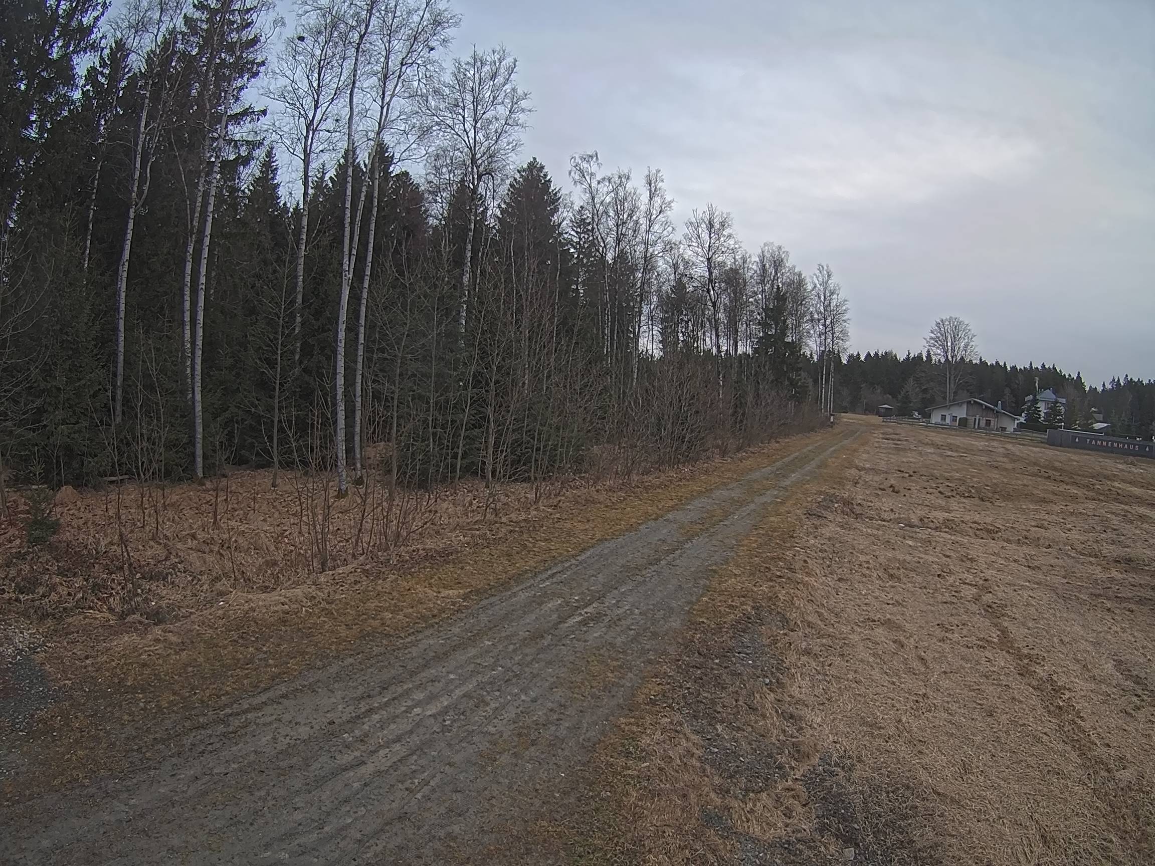 Webcam Schöneck Bogen