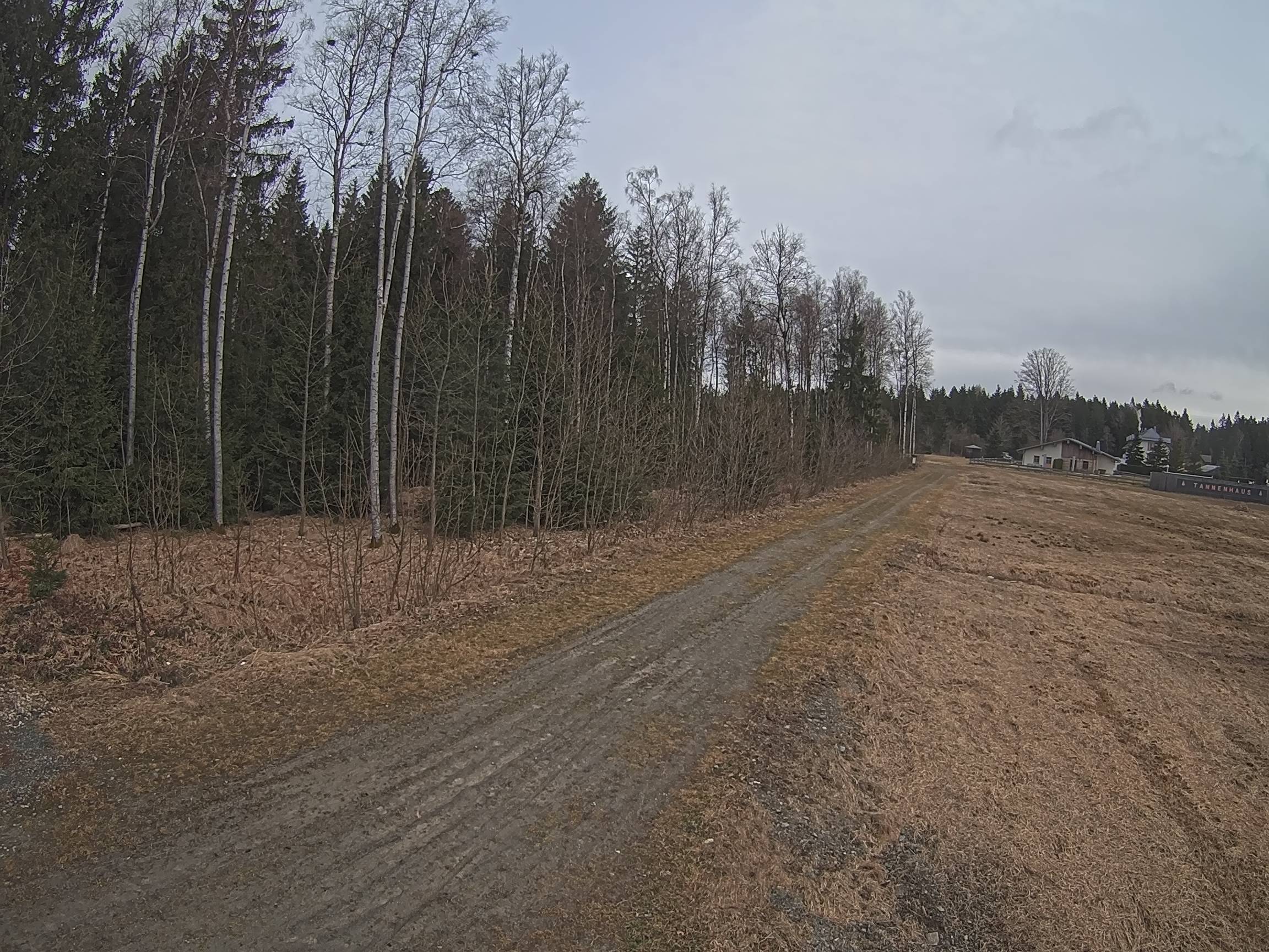 Webcam Schöneck Bogen