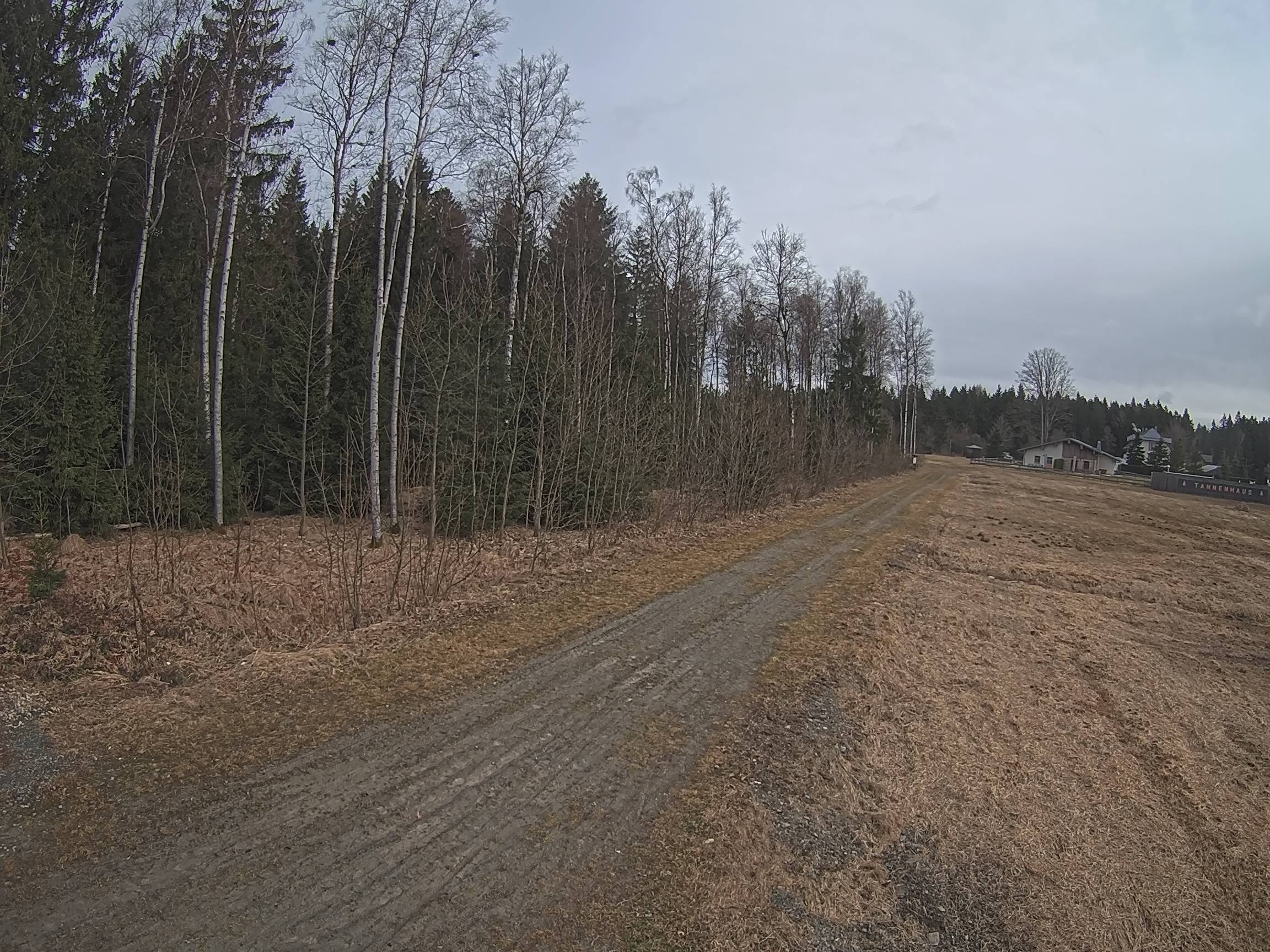 Webcam Schöneck Bogen