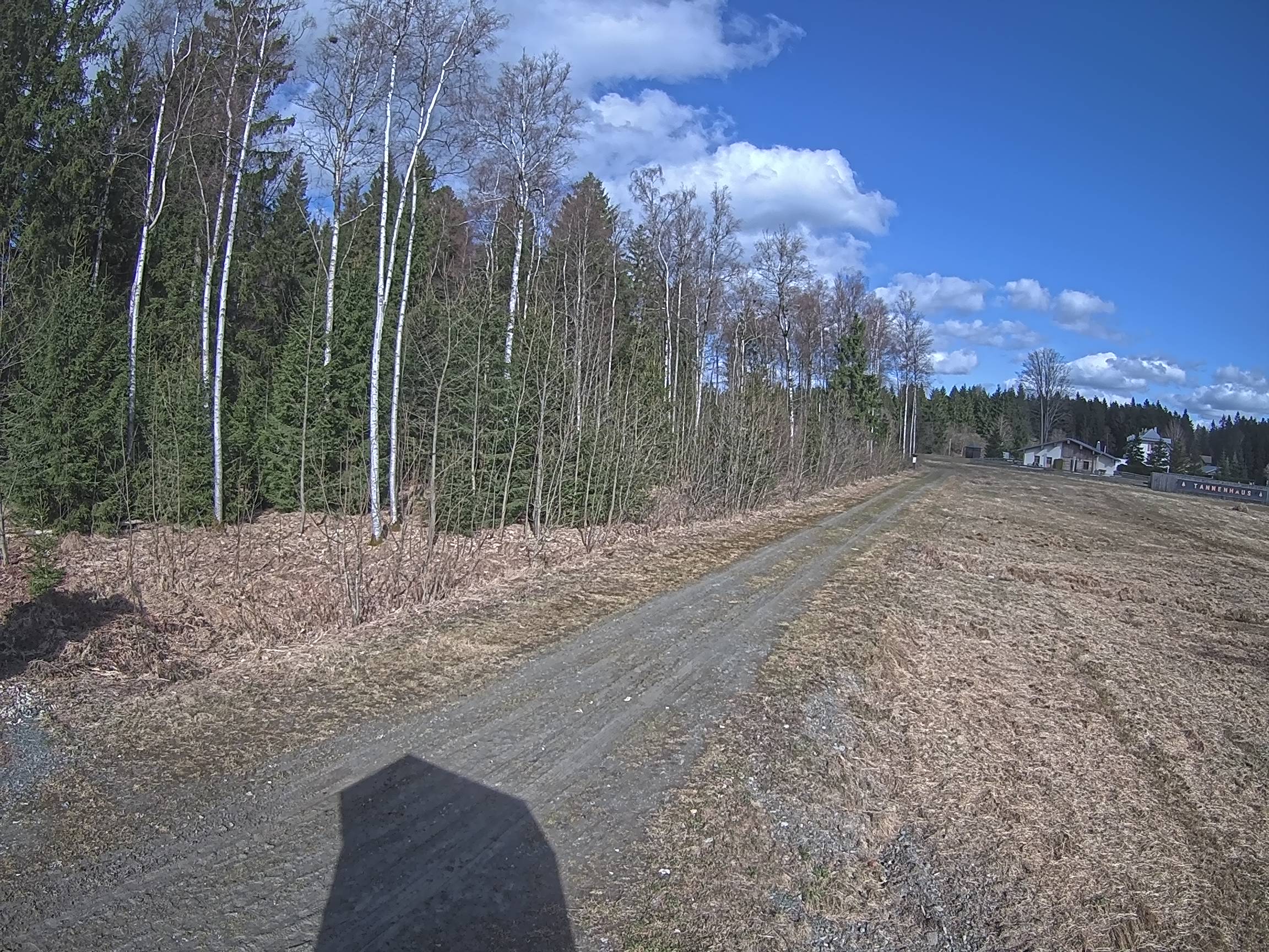 Webcam Schöneck Bogen