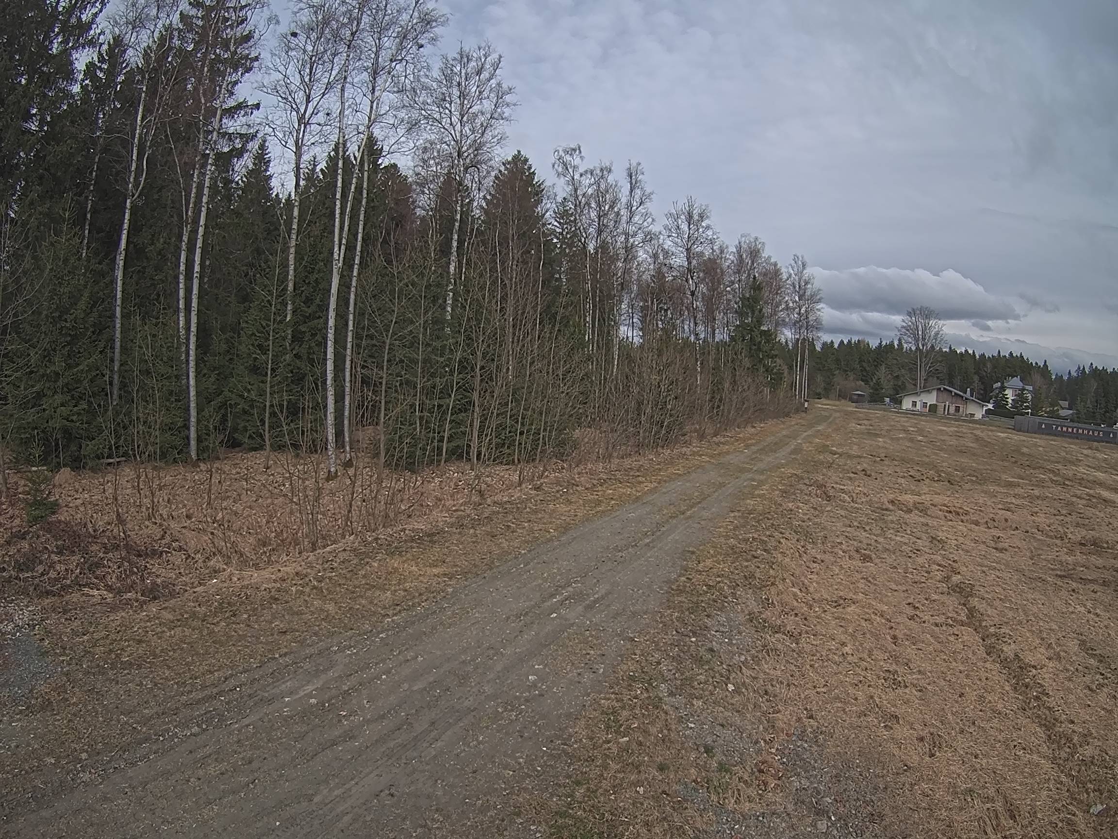 Webcam Schöneck Bogen