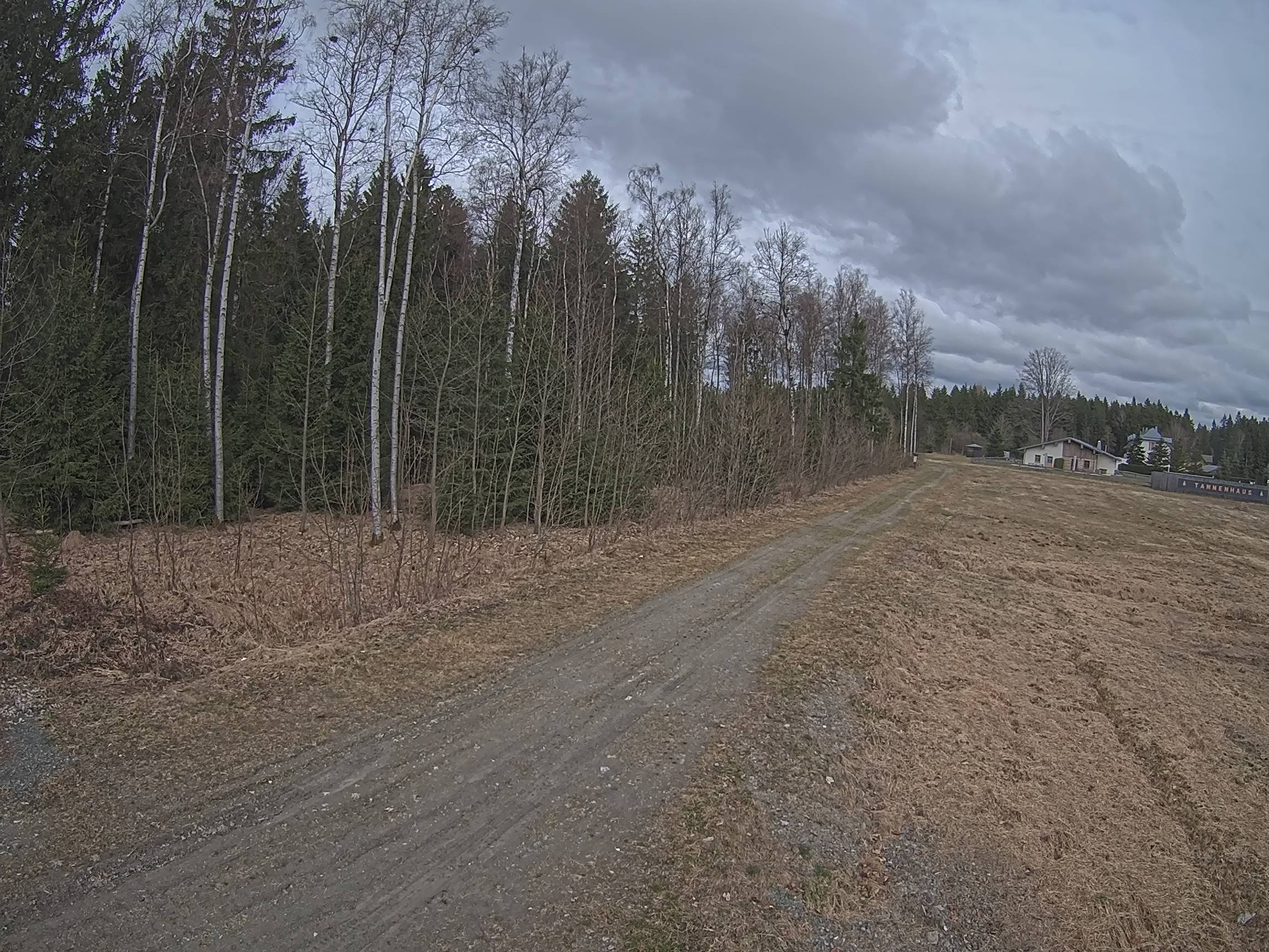 Webcam Schöneck Bogen