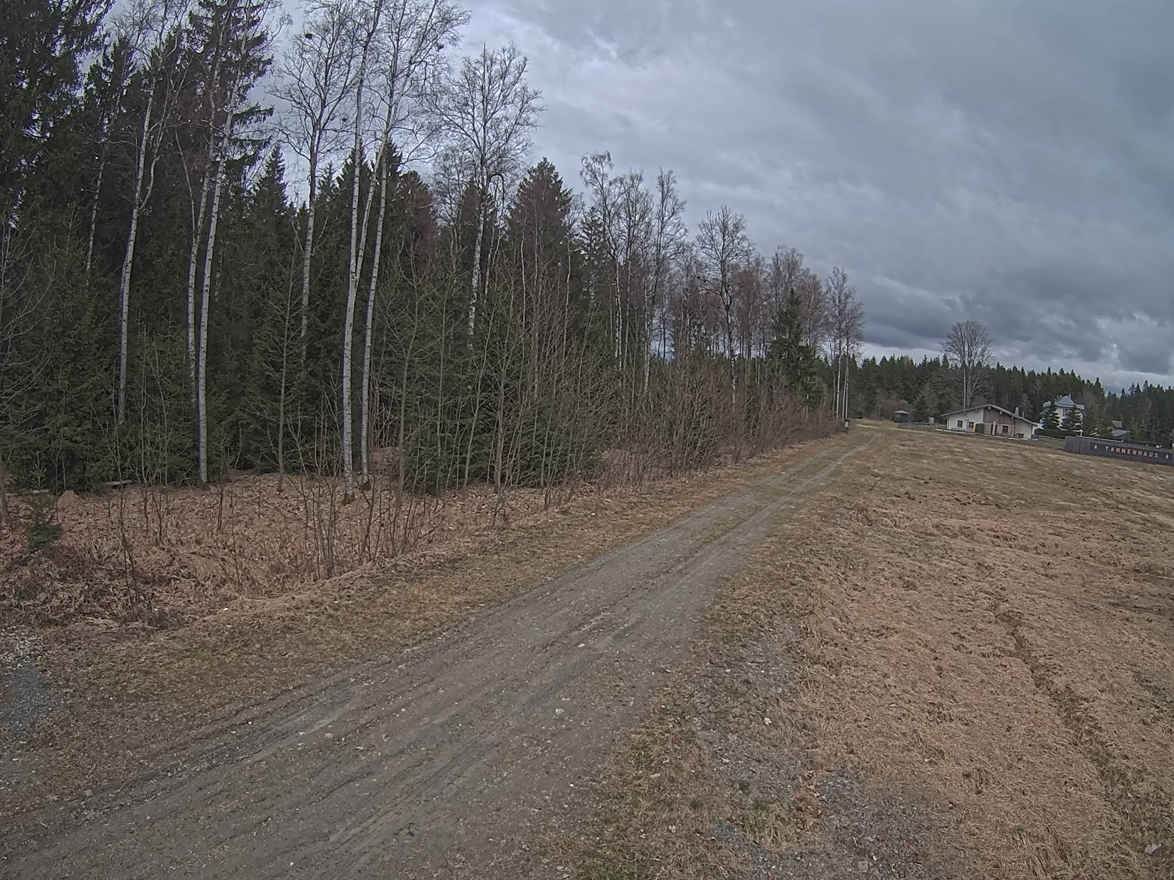 Webcam Schöneck Bogen