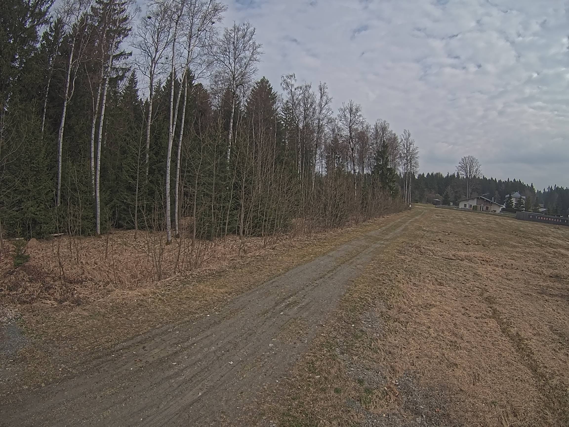 Webcam Schöneck Bogen