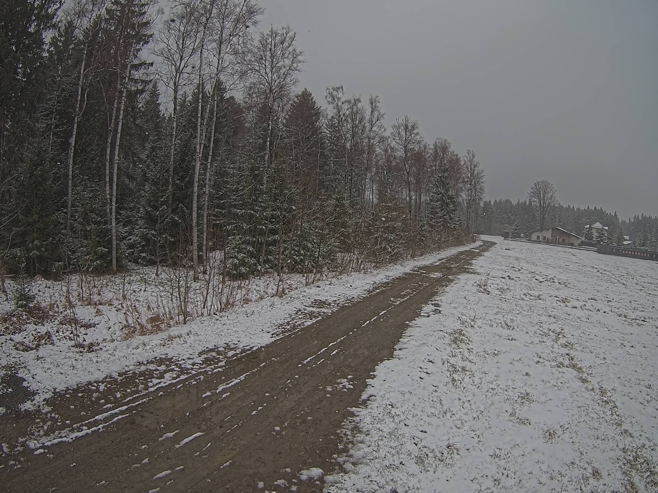 Webcam Schöneck Bogen