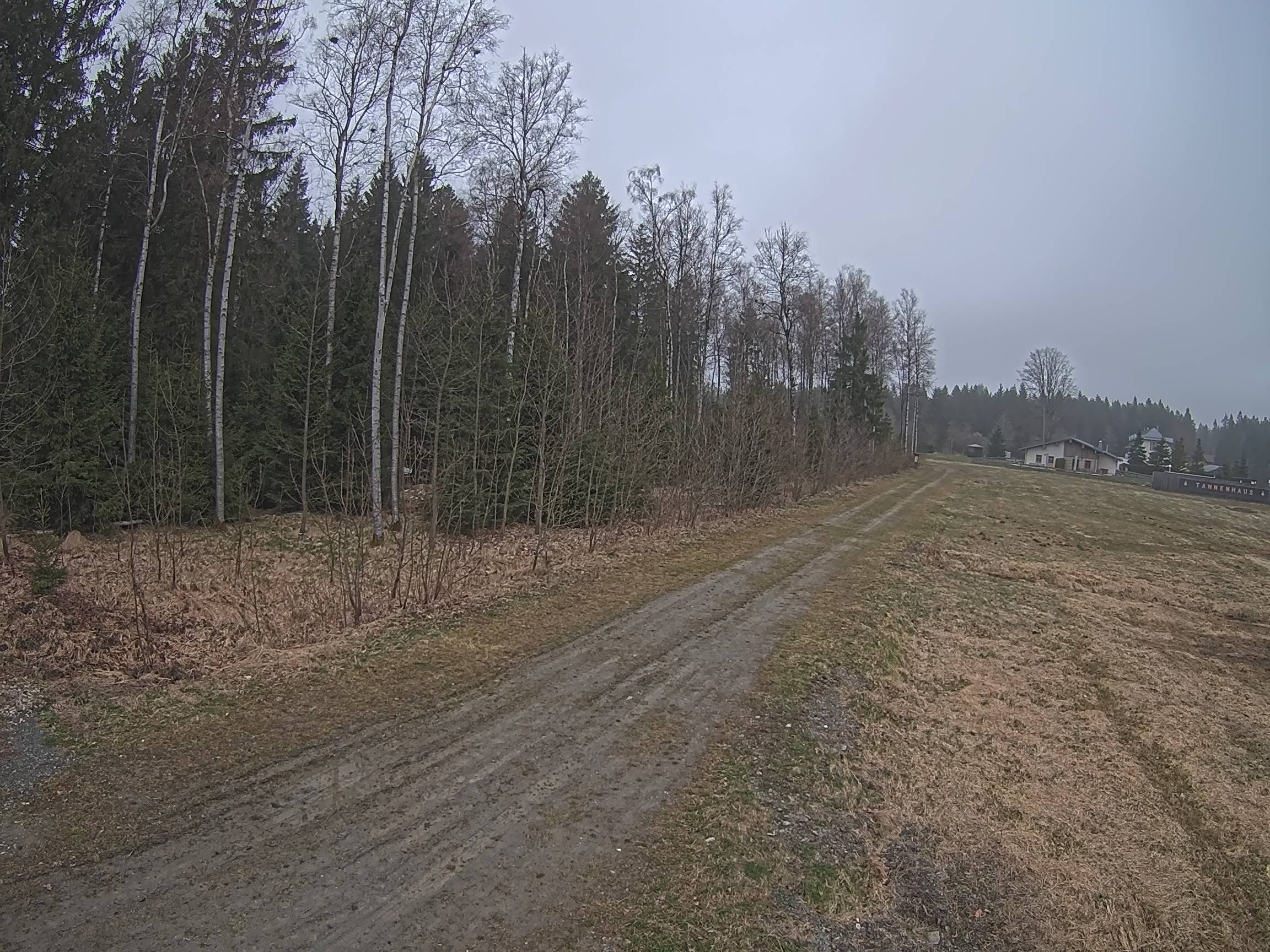 Webcam Schöneck Bogen