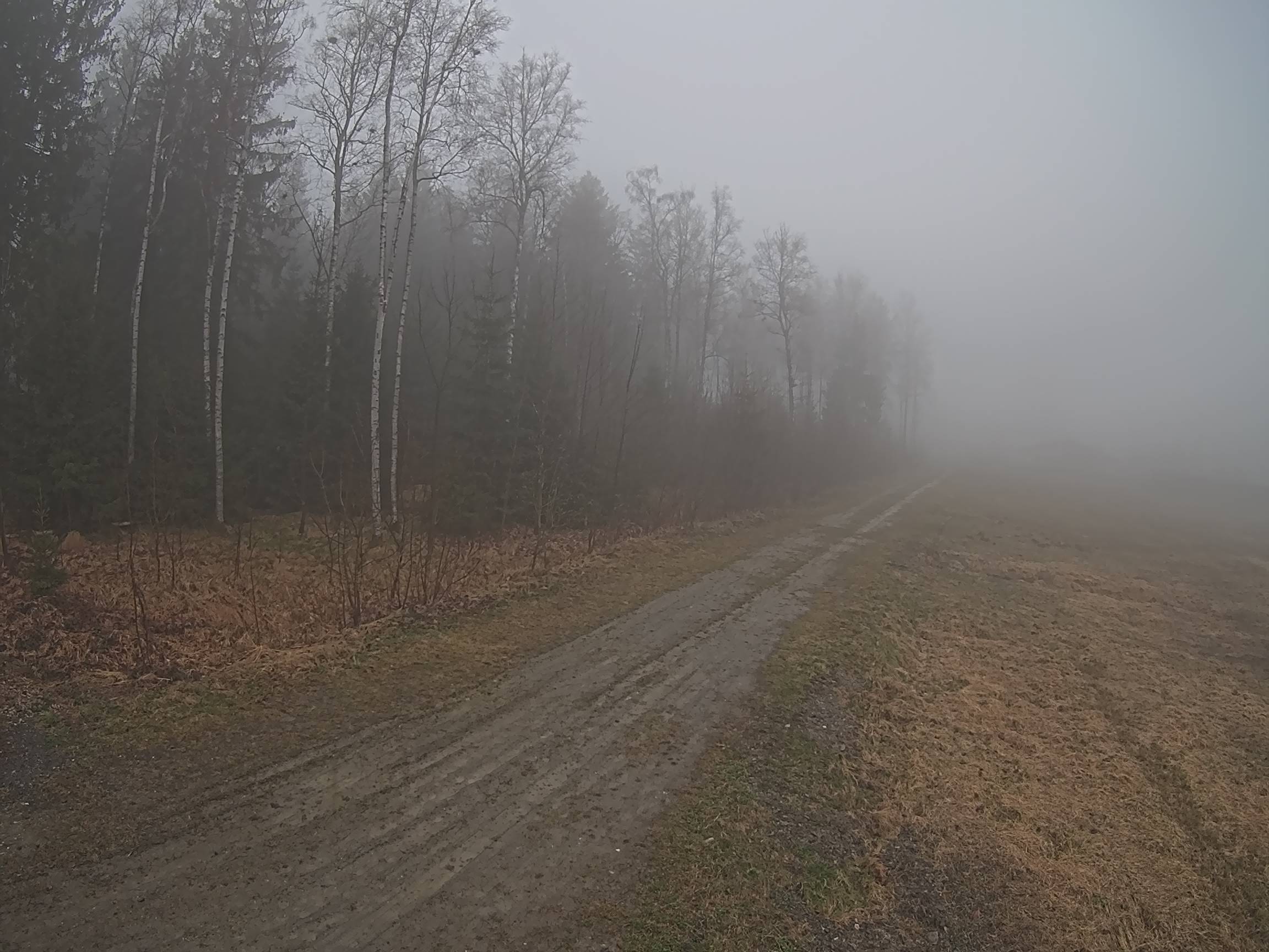 Webcam Schöneck Bogen