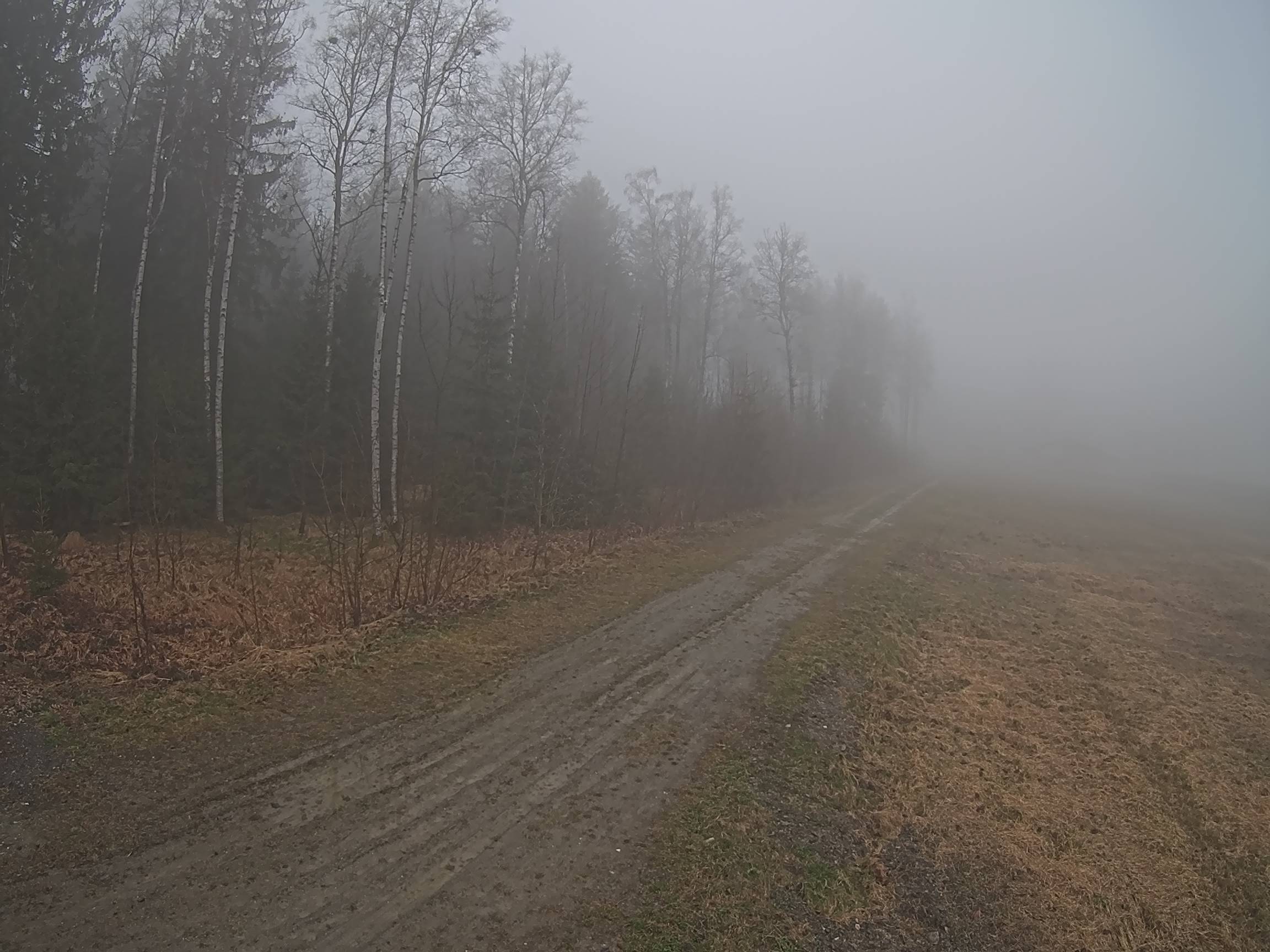 Webcam Schöneck Bogen