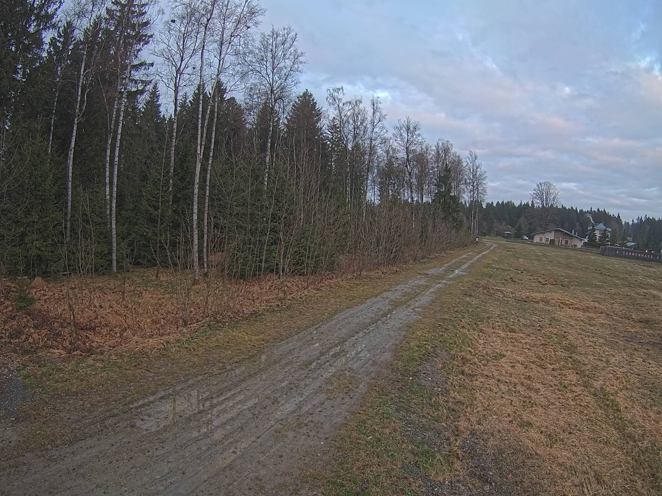 Webcam Schöneck Bogen