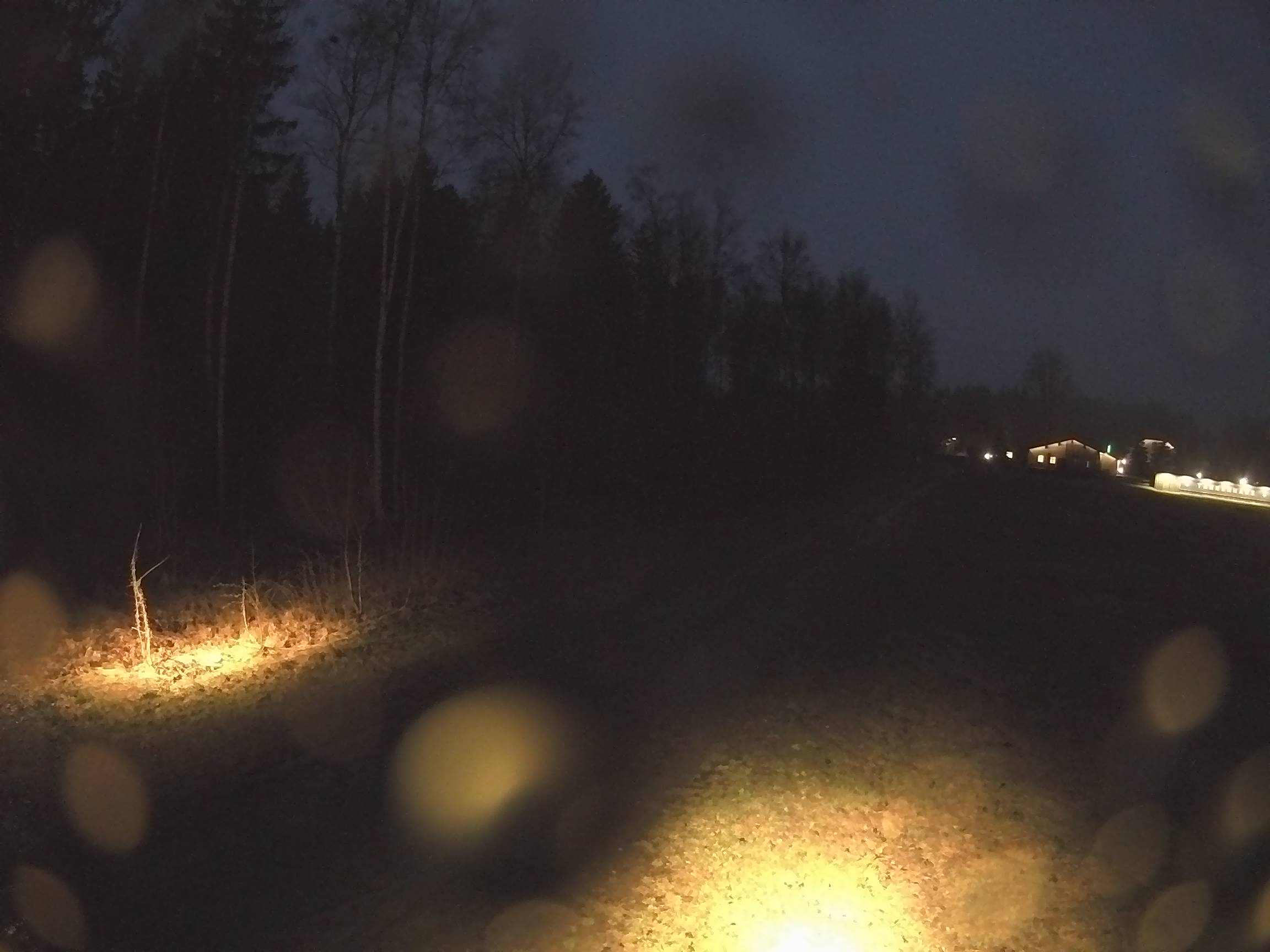 Webcam Schöneck Bogen