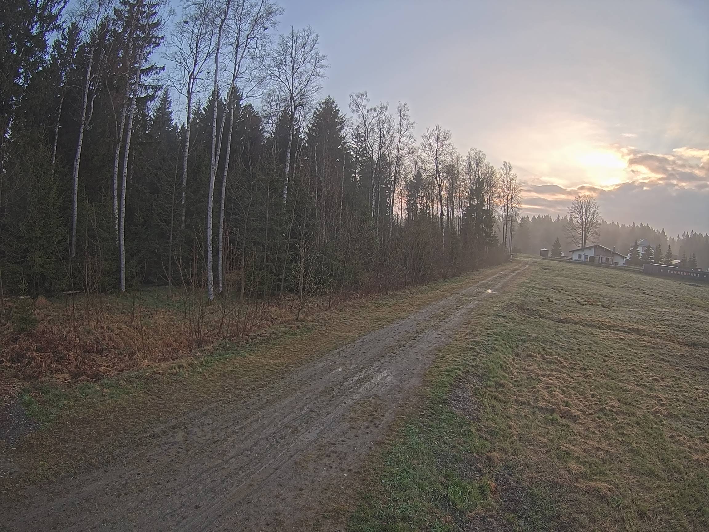 Webcam Schöneck Bogen