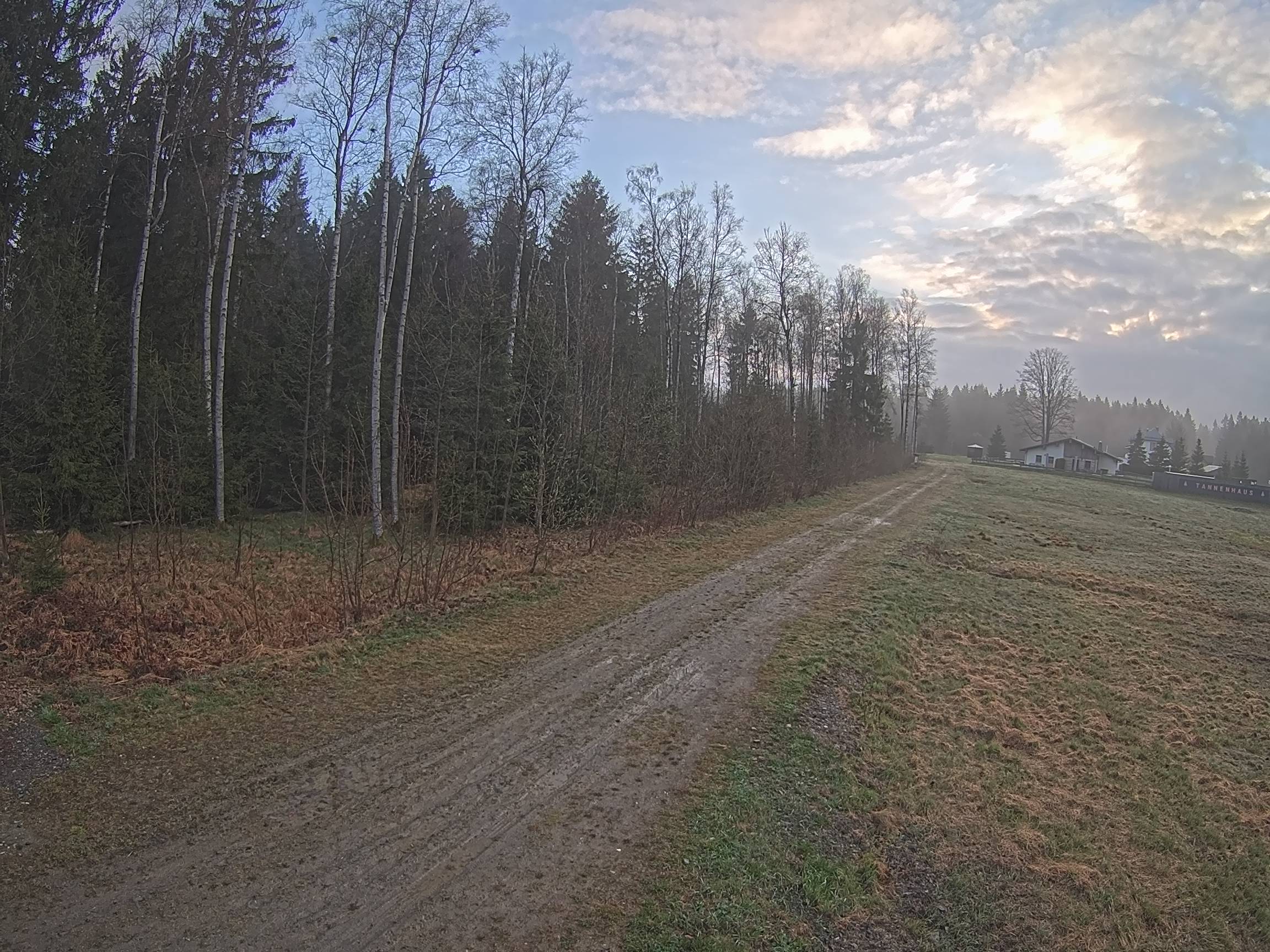 Webcam Schöneck Bogen