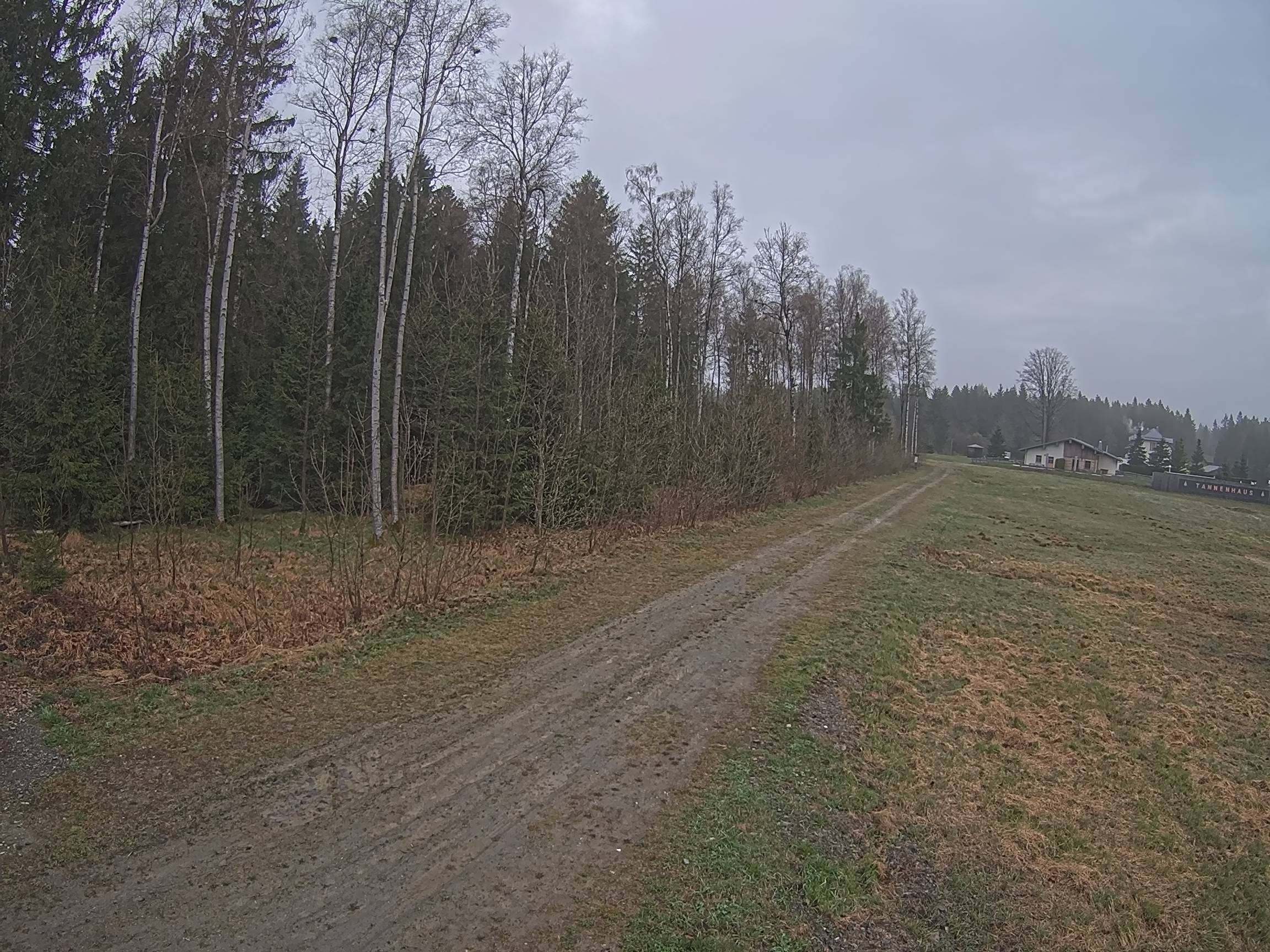 Webcam Schöneck Bogen