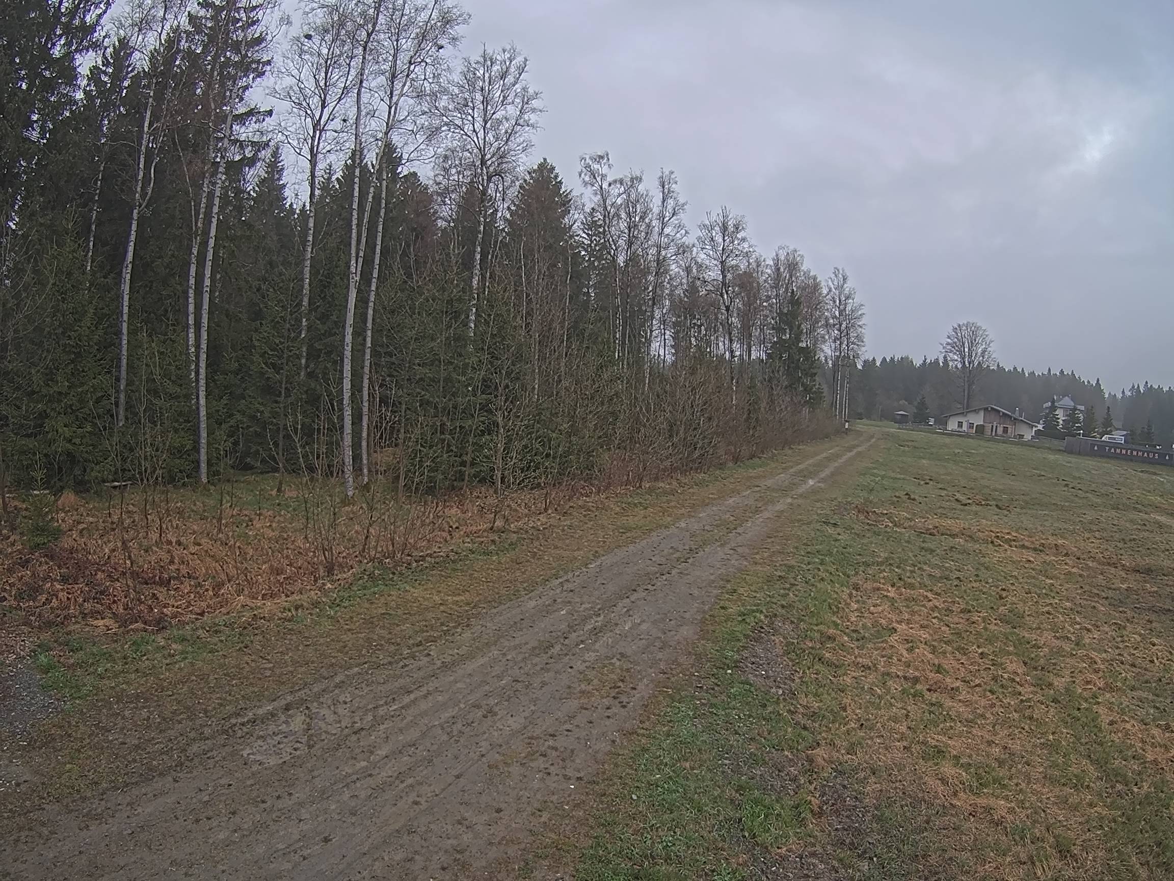 Webcam Schöneck Bogen