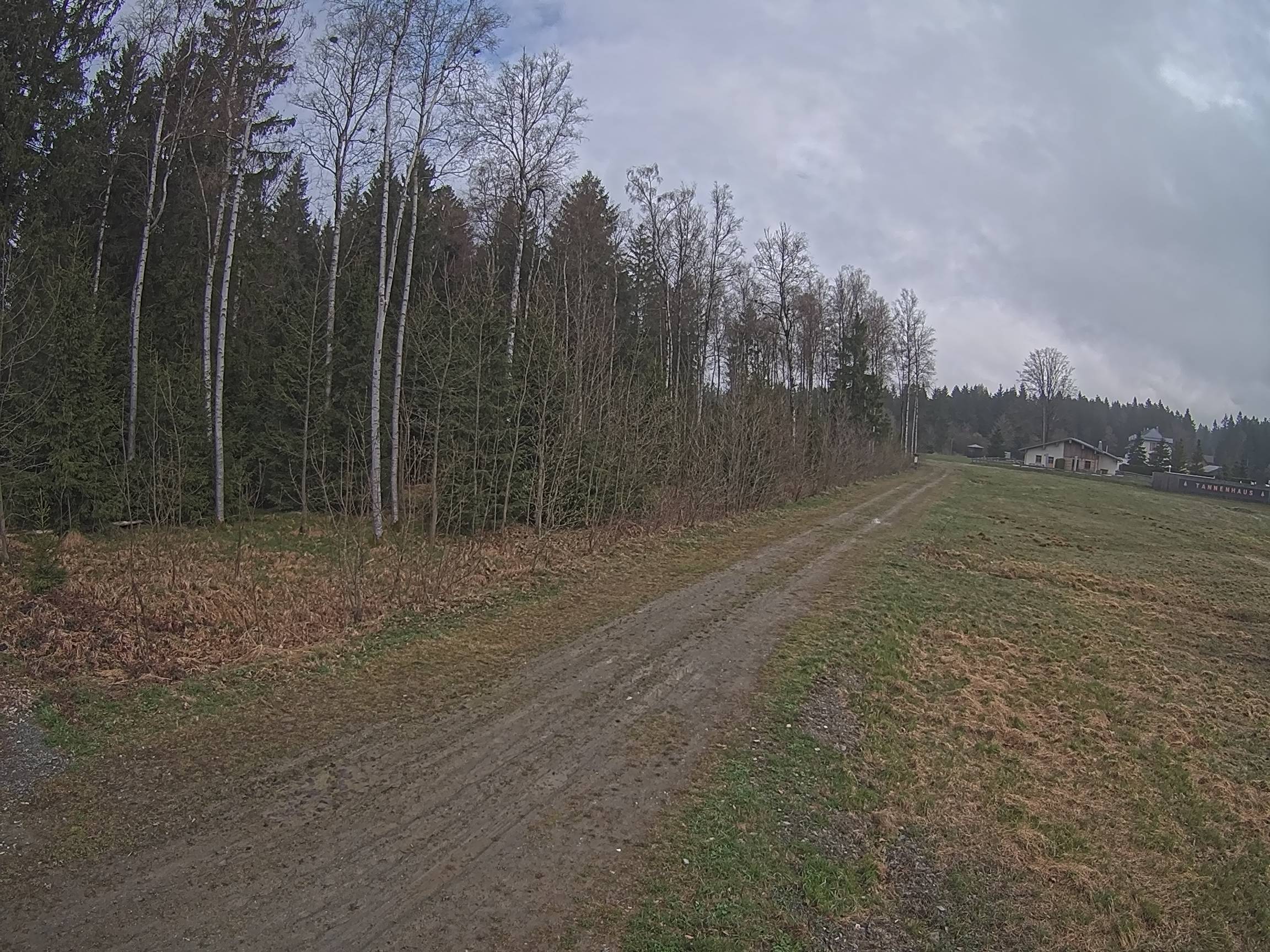 Webcam Schöneck Bogen