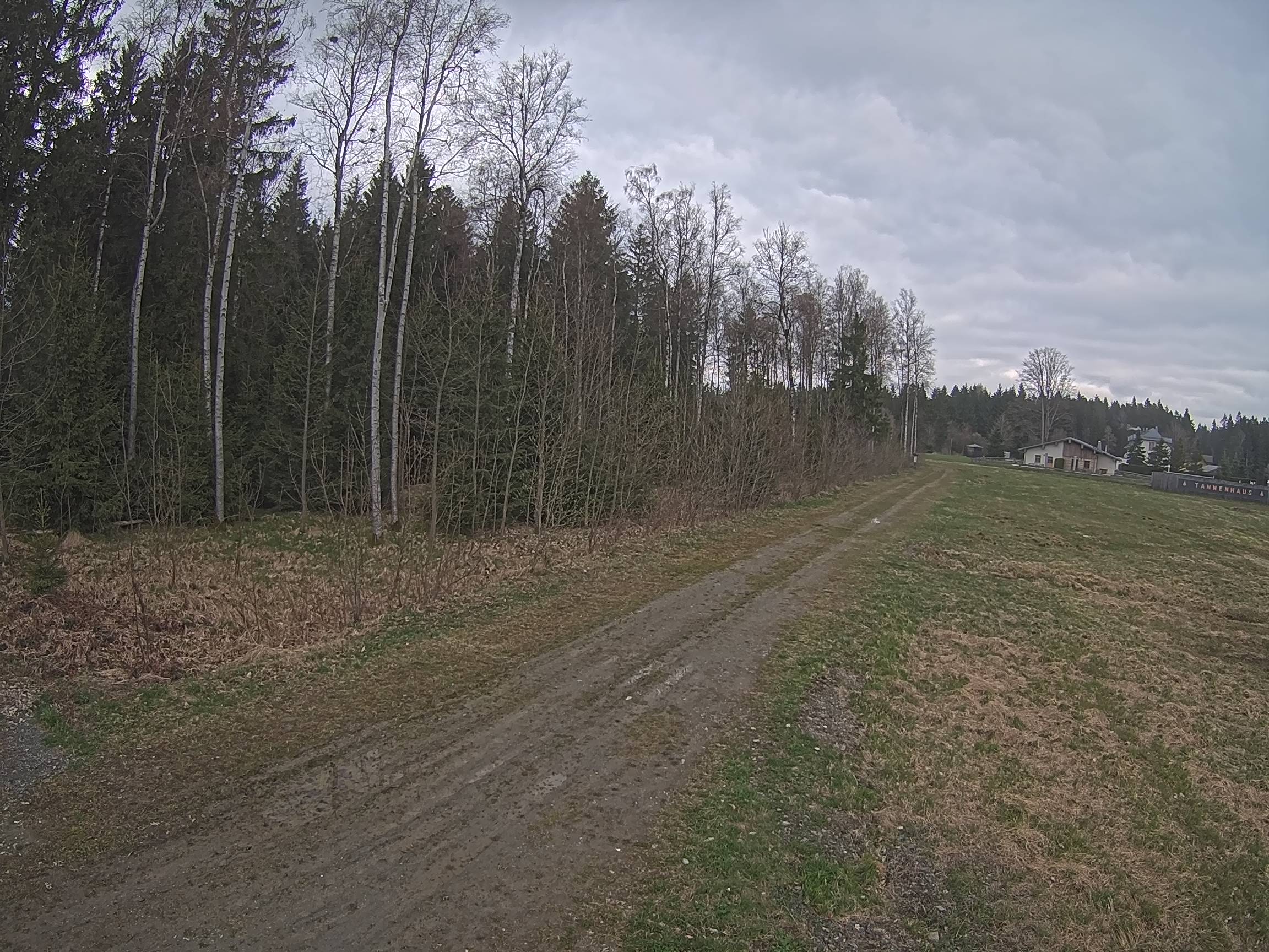 Webcam Schöneck Bogen