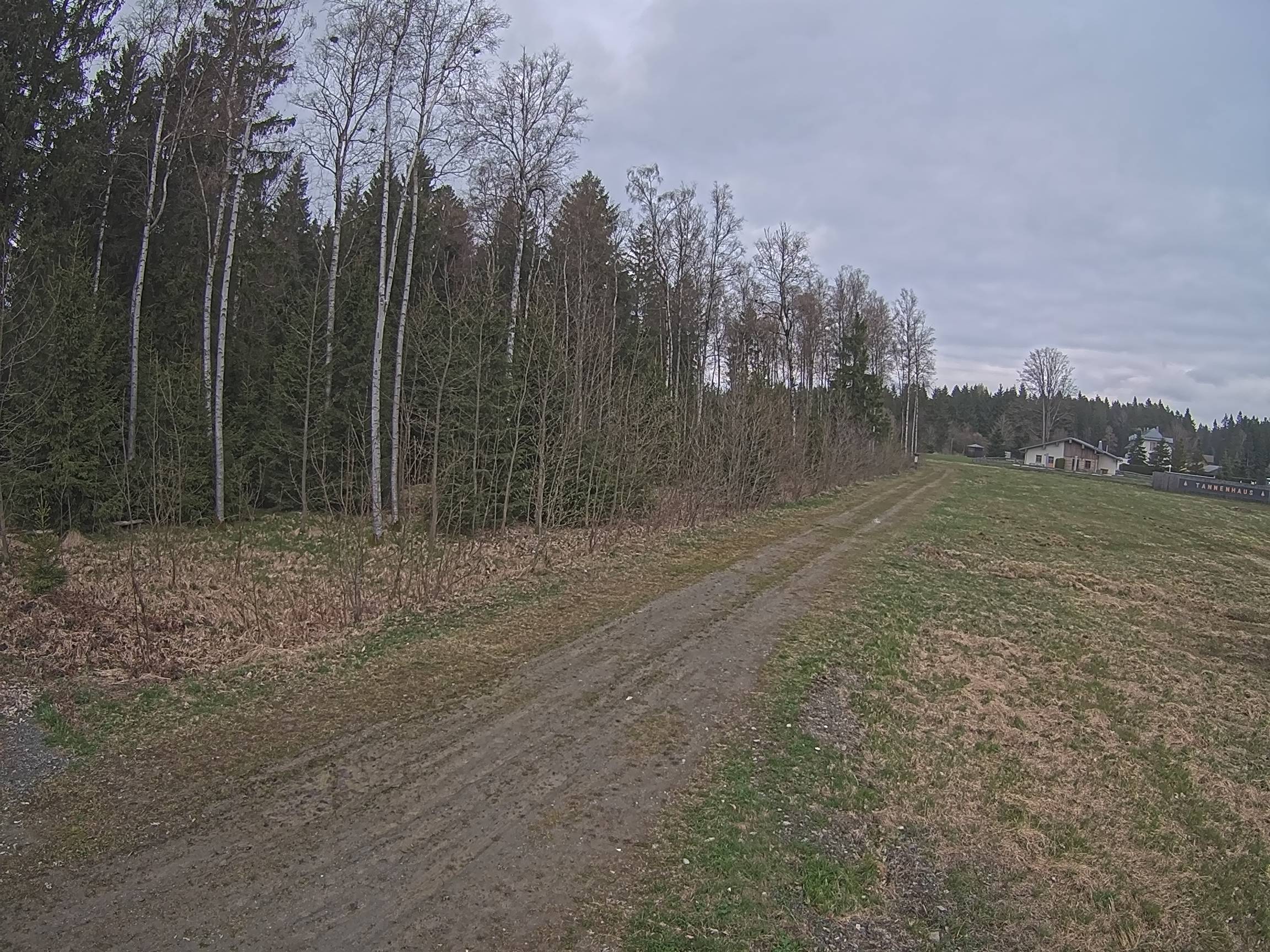 Webcam Schöneck Bogen