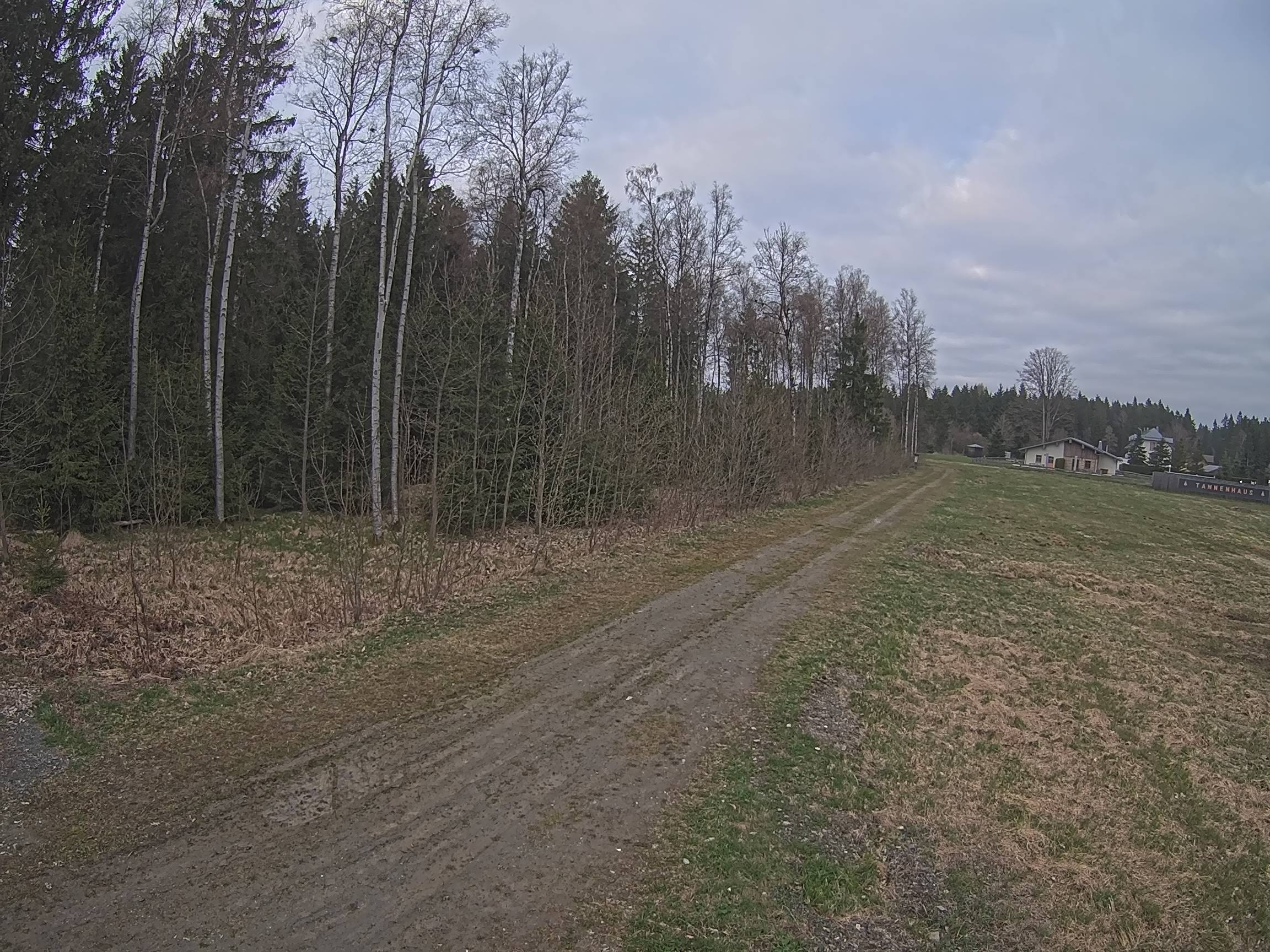 Webcam Schöneck Bogen