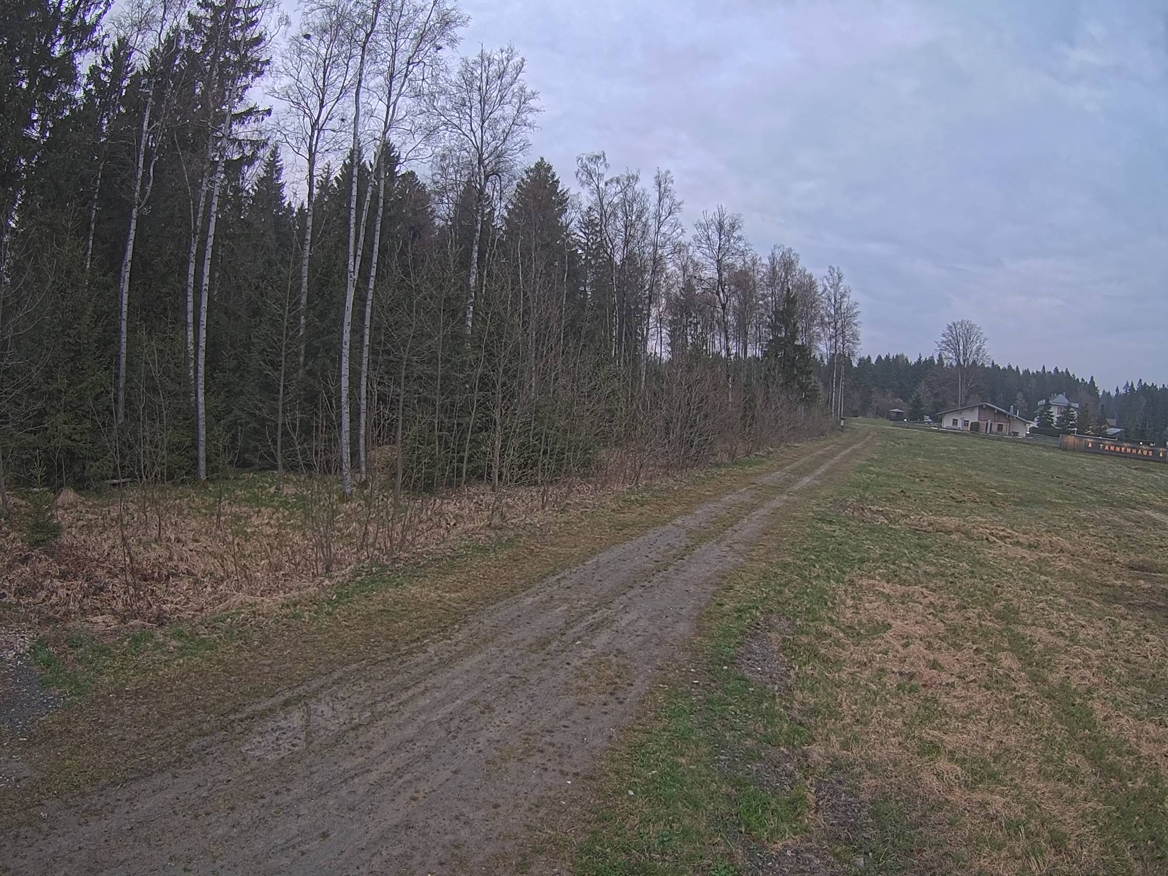 Webcam Schöneck Bogen