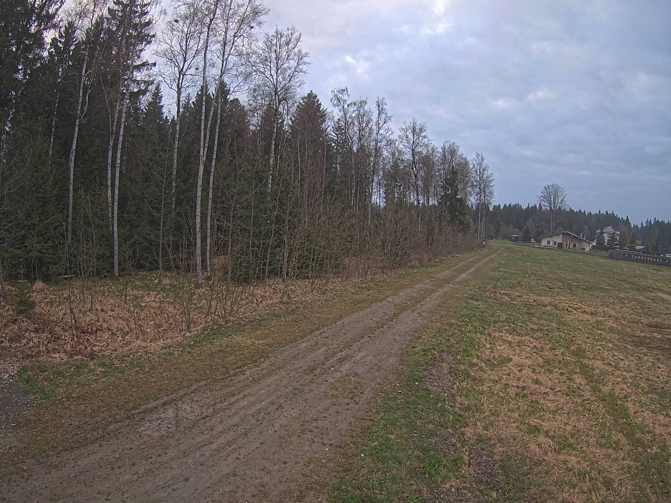 Webcam Schöneck Bogen