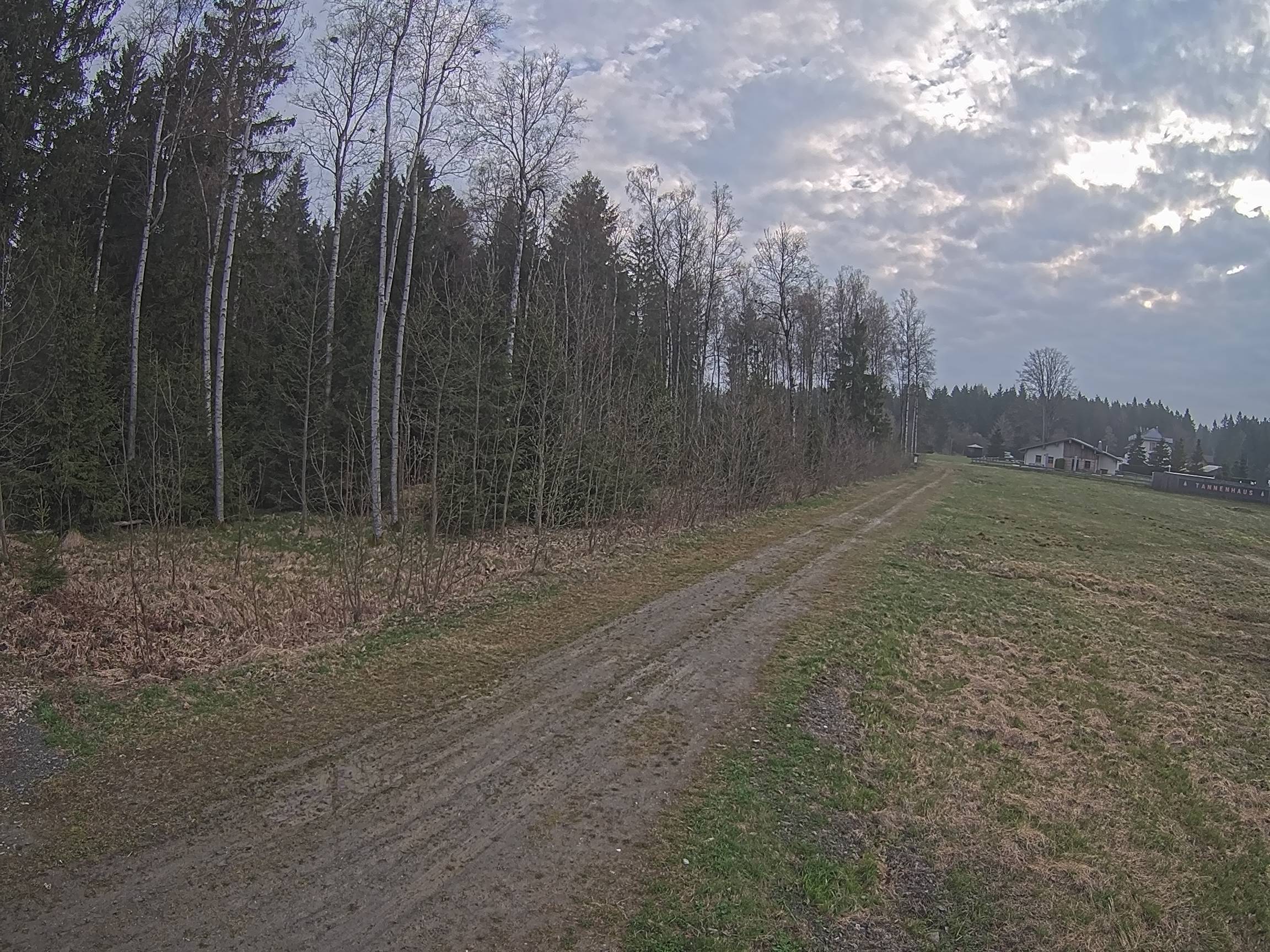 Webcam Schöneck Bogen