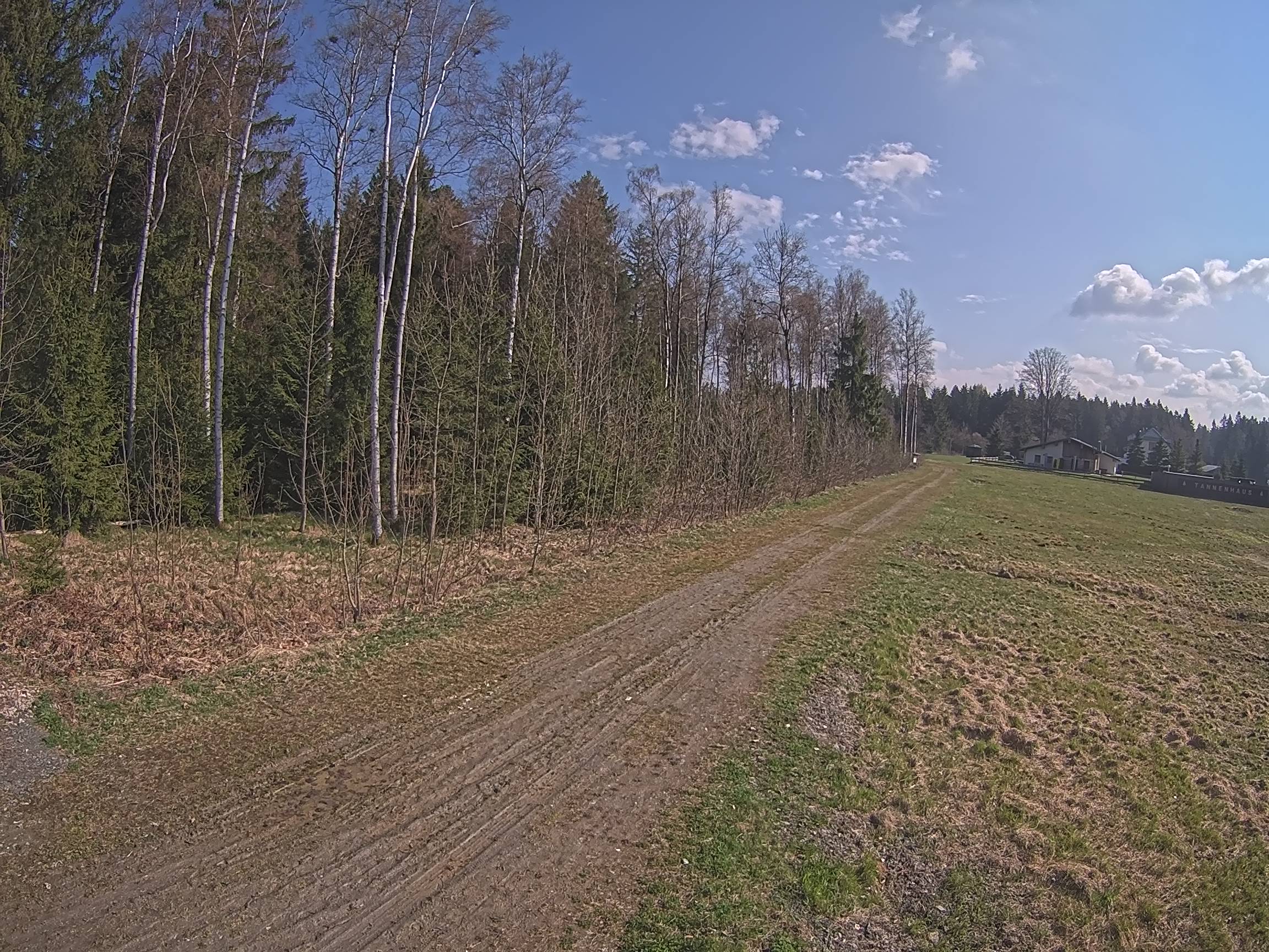 Webcam Schöneck Bogen