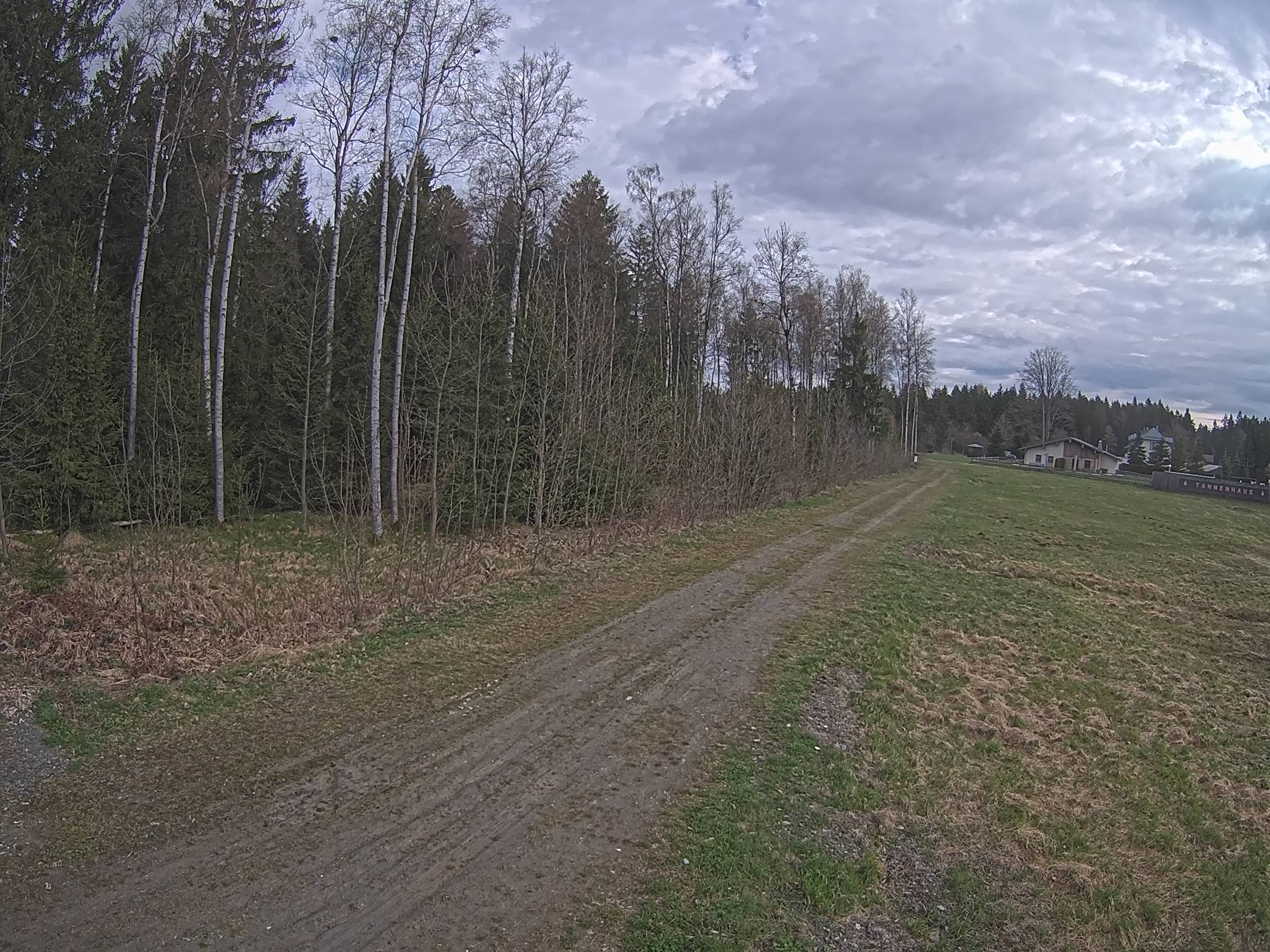 Webcam Schöneck Bogen