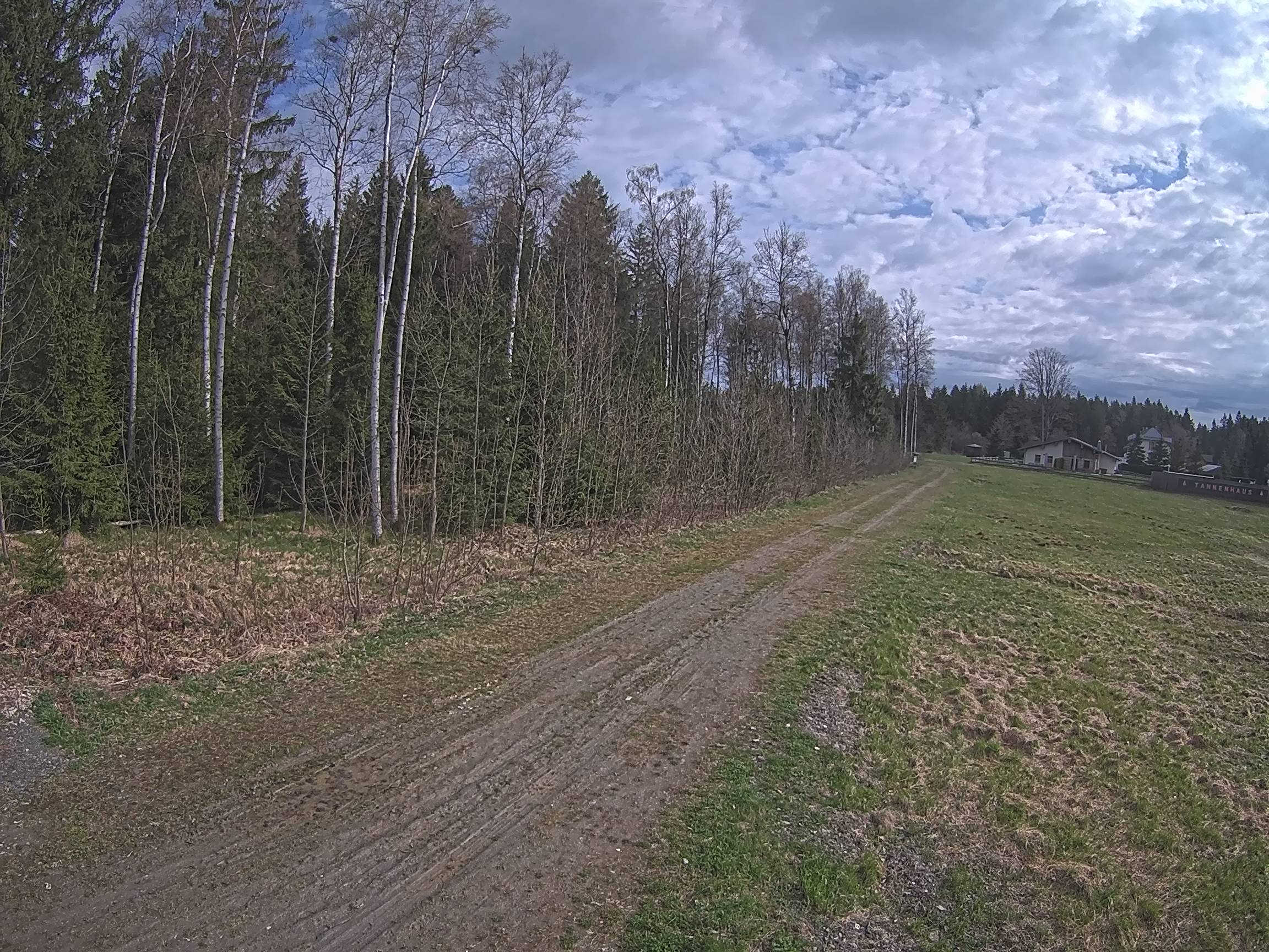 Webcam Schöneck Bogen