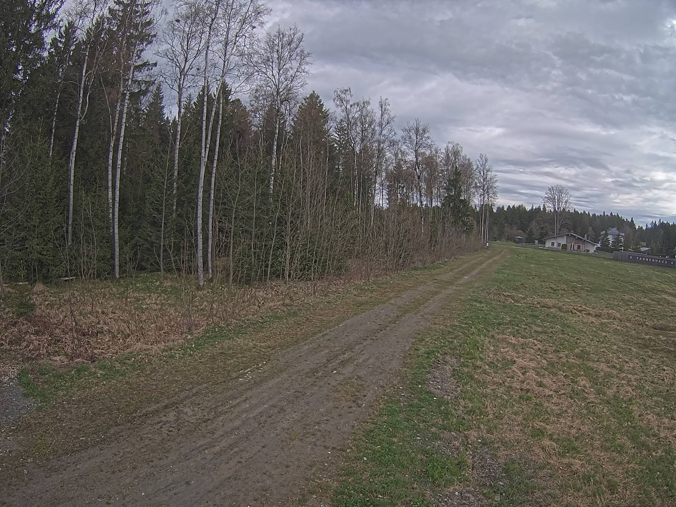 Webcam Schöneck Bogen