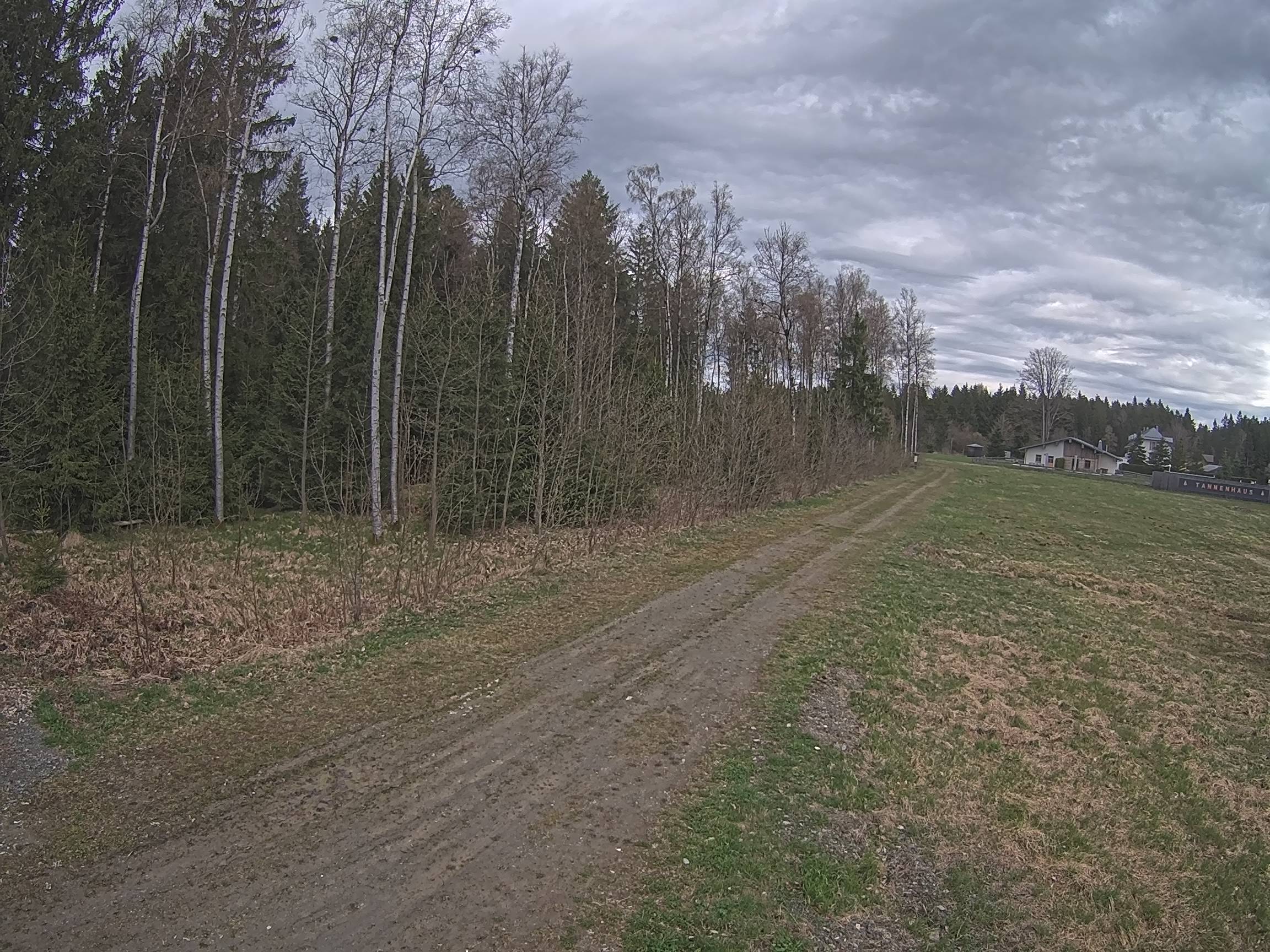 Webcam Schöneck Bogen