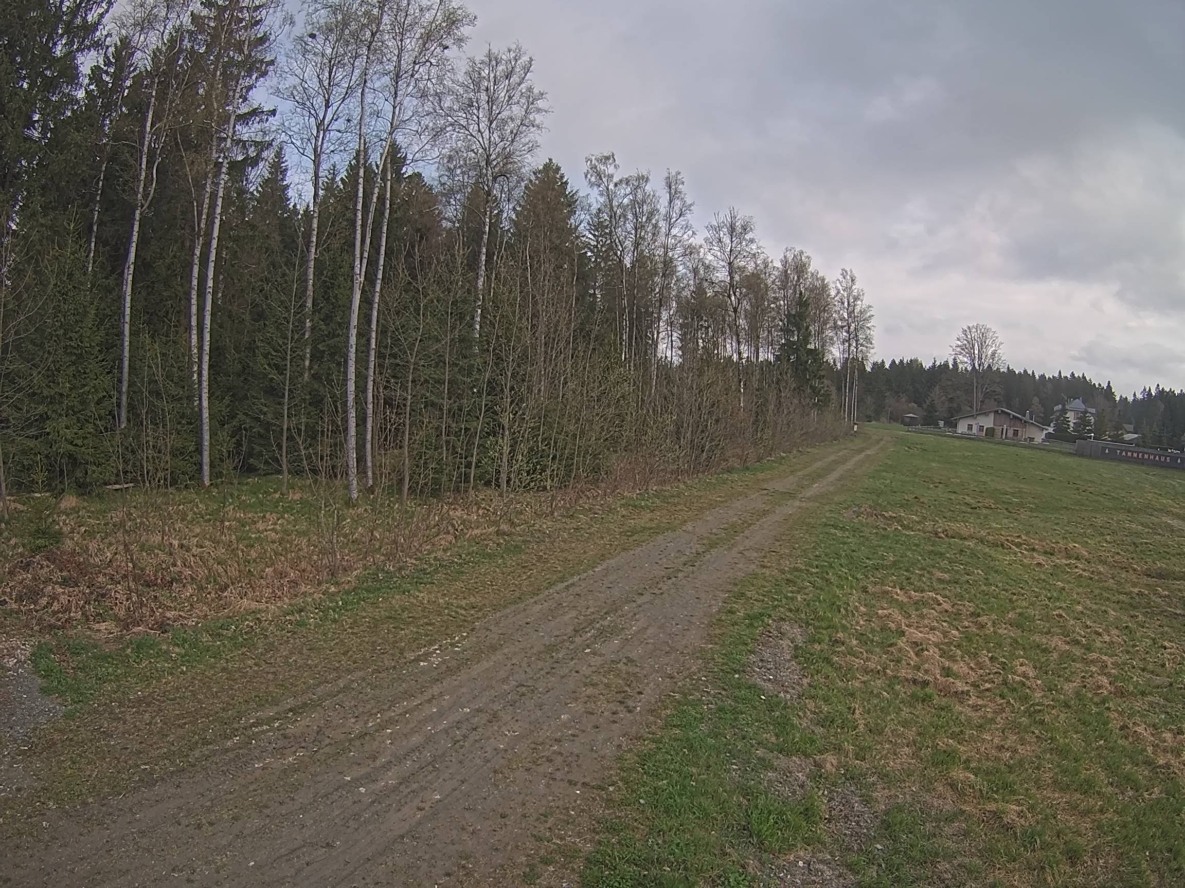 Webcam Schöneck Bogen