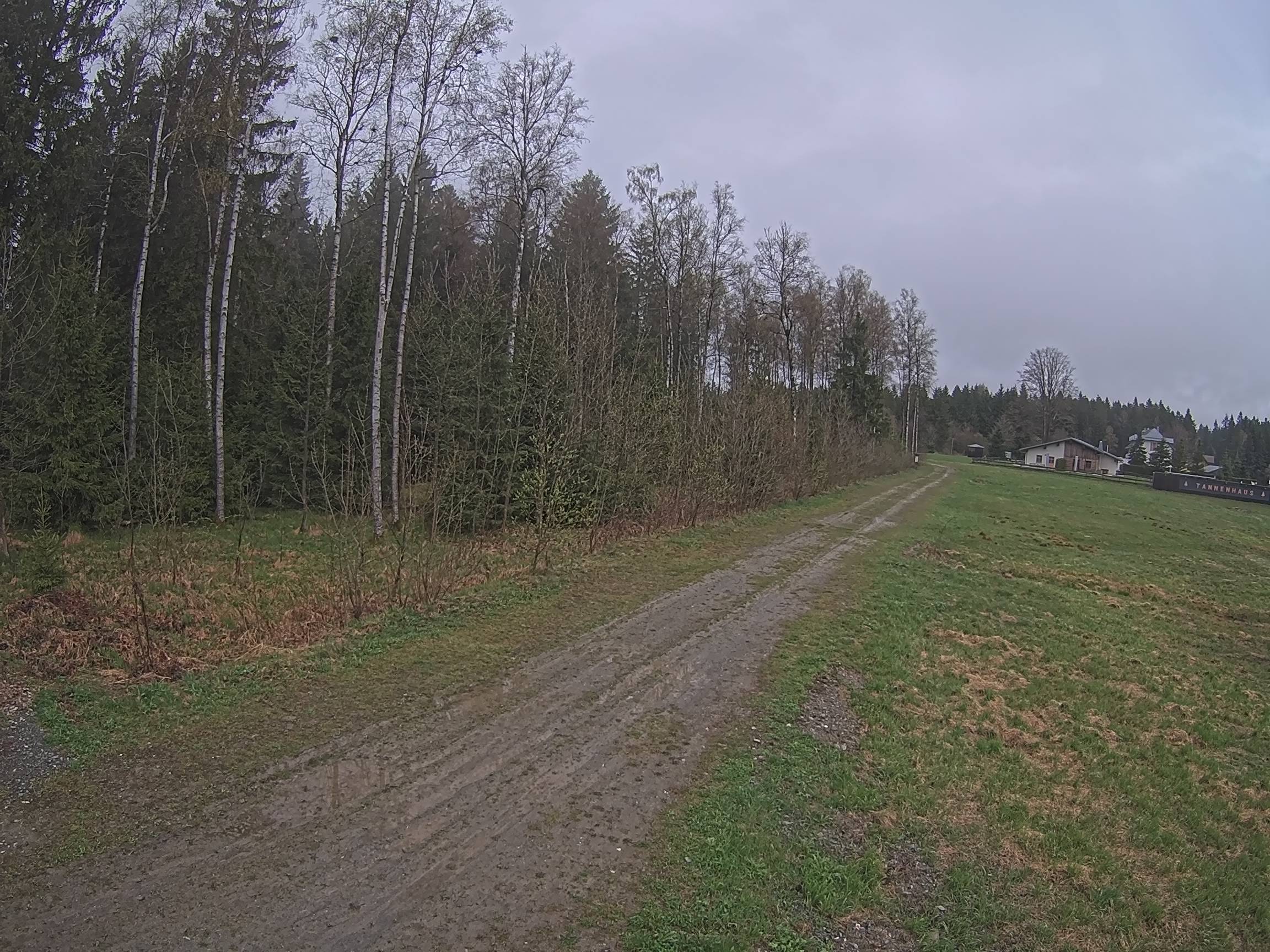 Webcam Schöneck Bogen