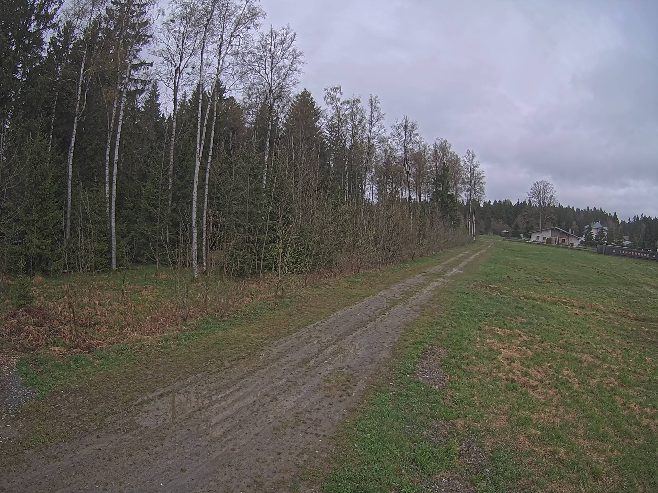 Webcam Schöneck Bogen