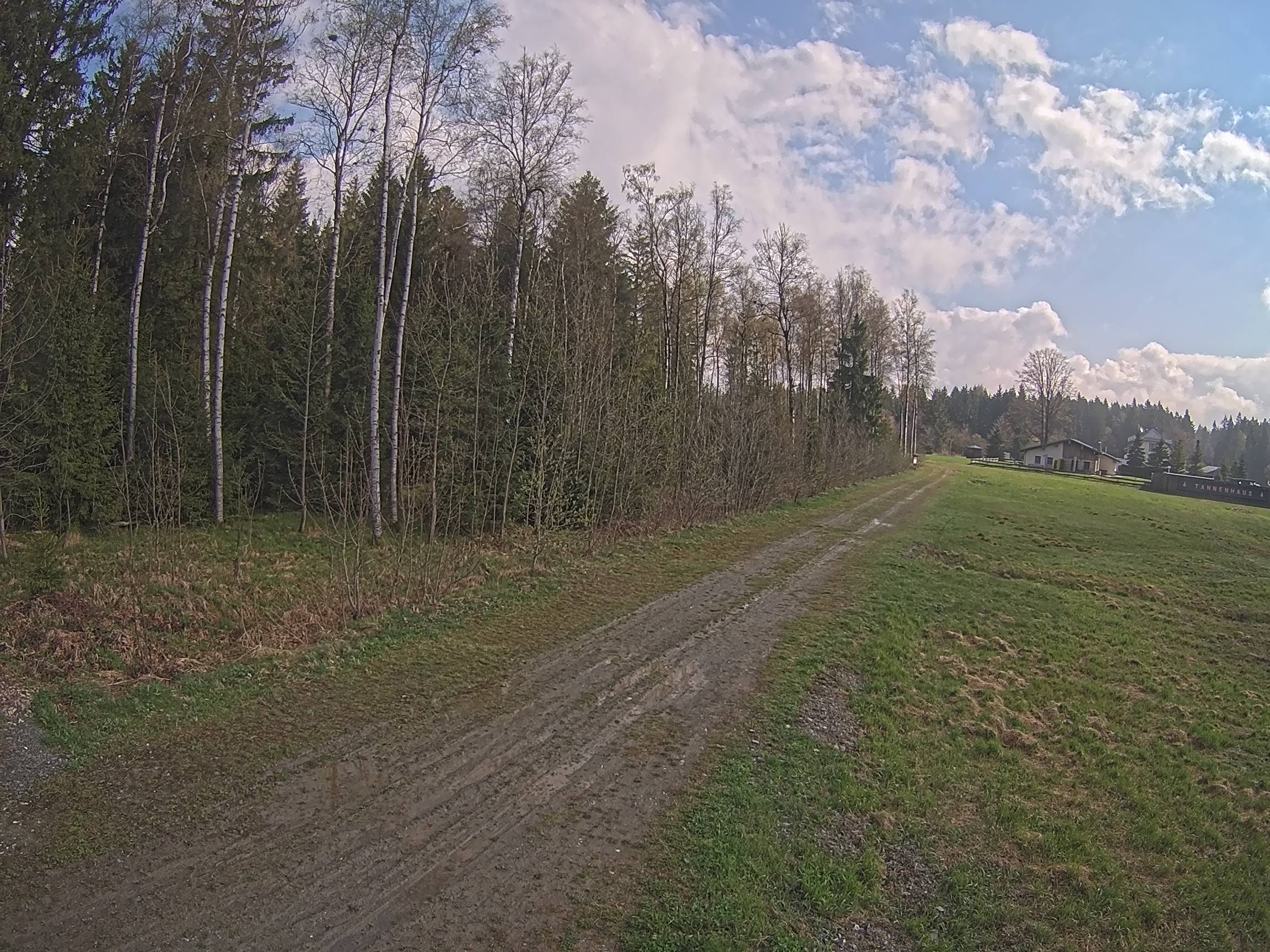 Webcam Schöneck Bogen