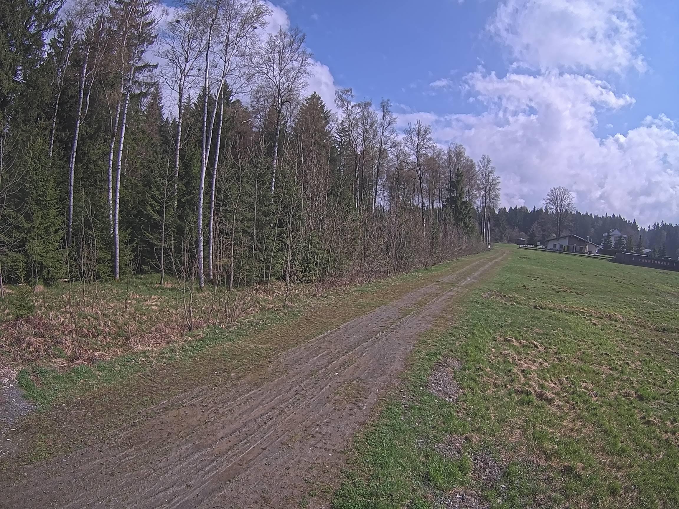 Webcam Schöneck Bogen