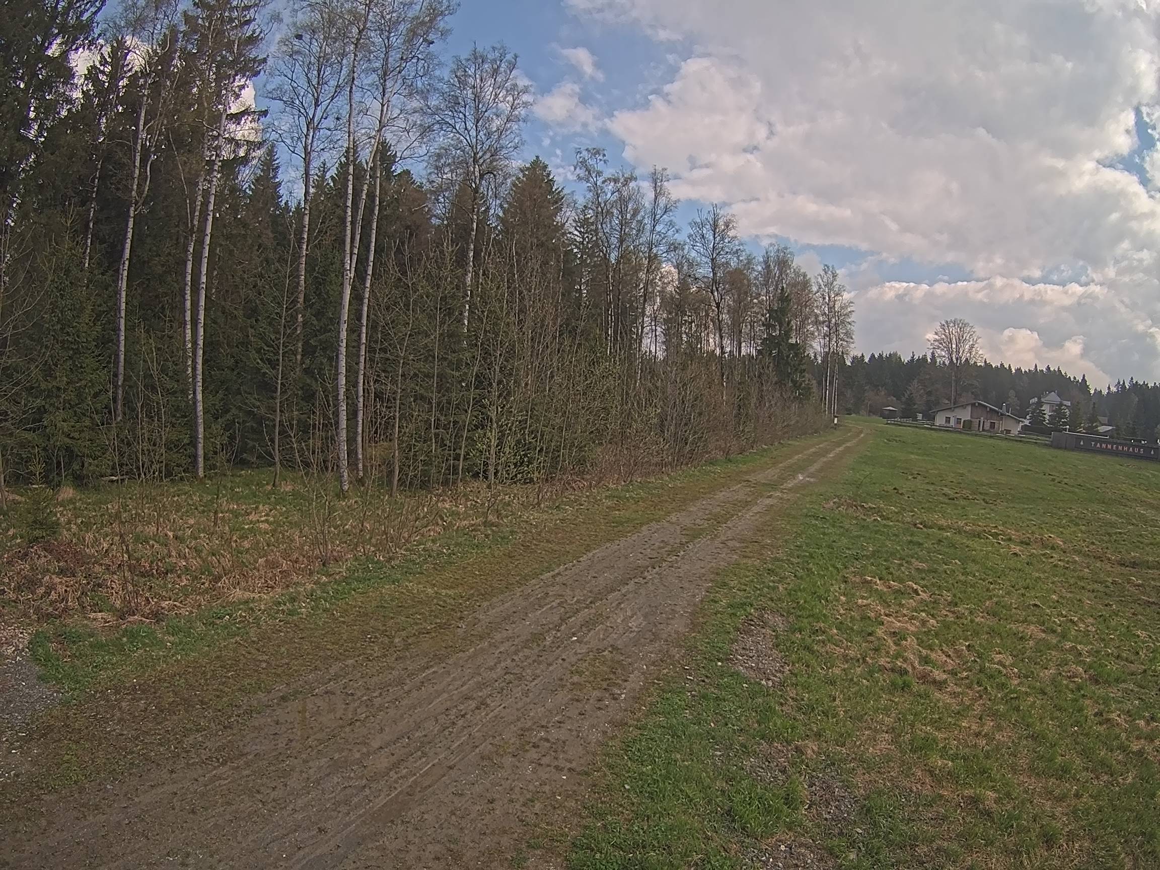 Webcam Schöneck Bogen