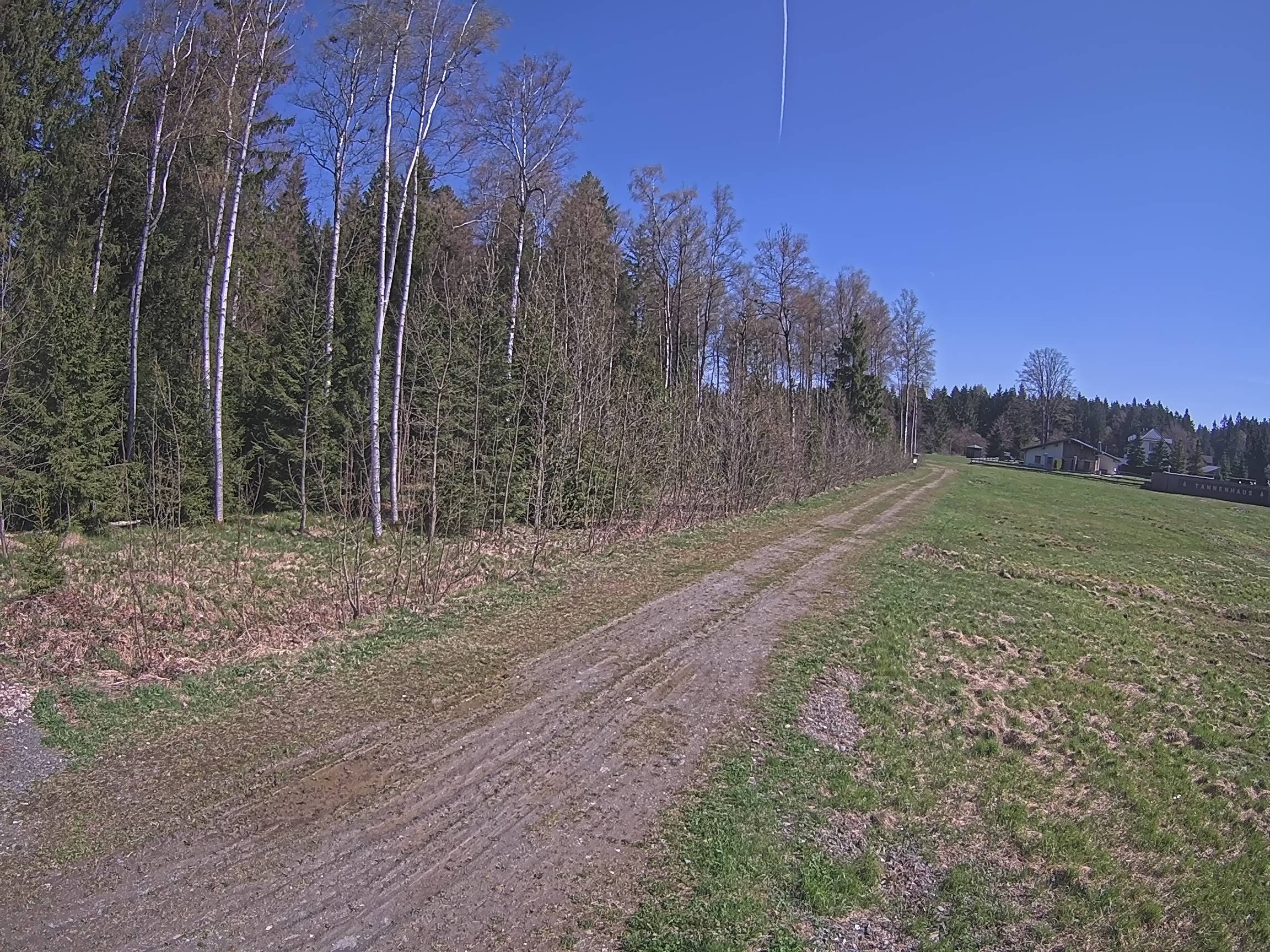 Webcam Schöneck Bogen