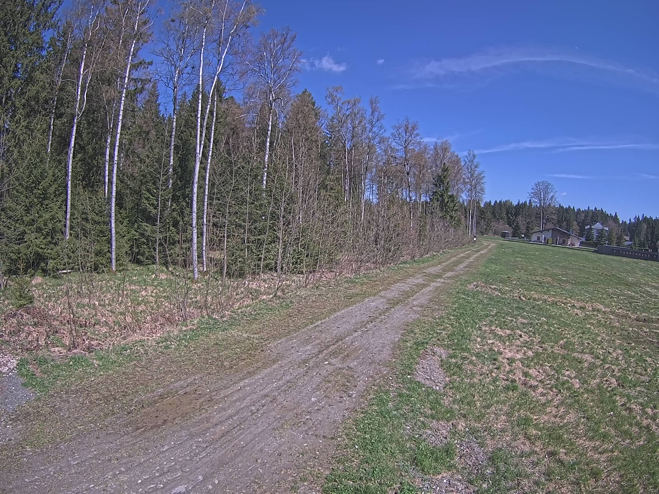 Webcam Schöneck Bogen