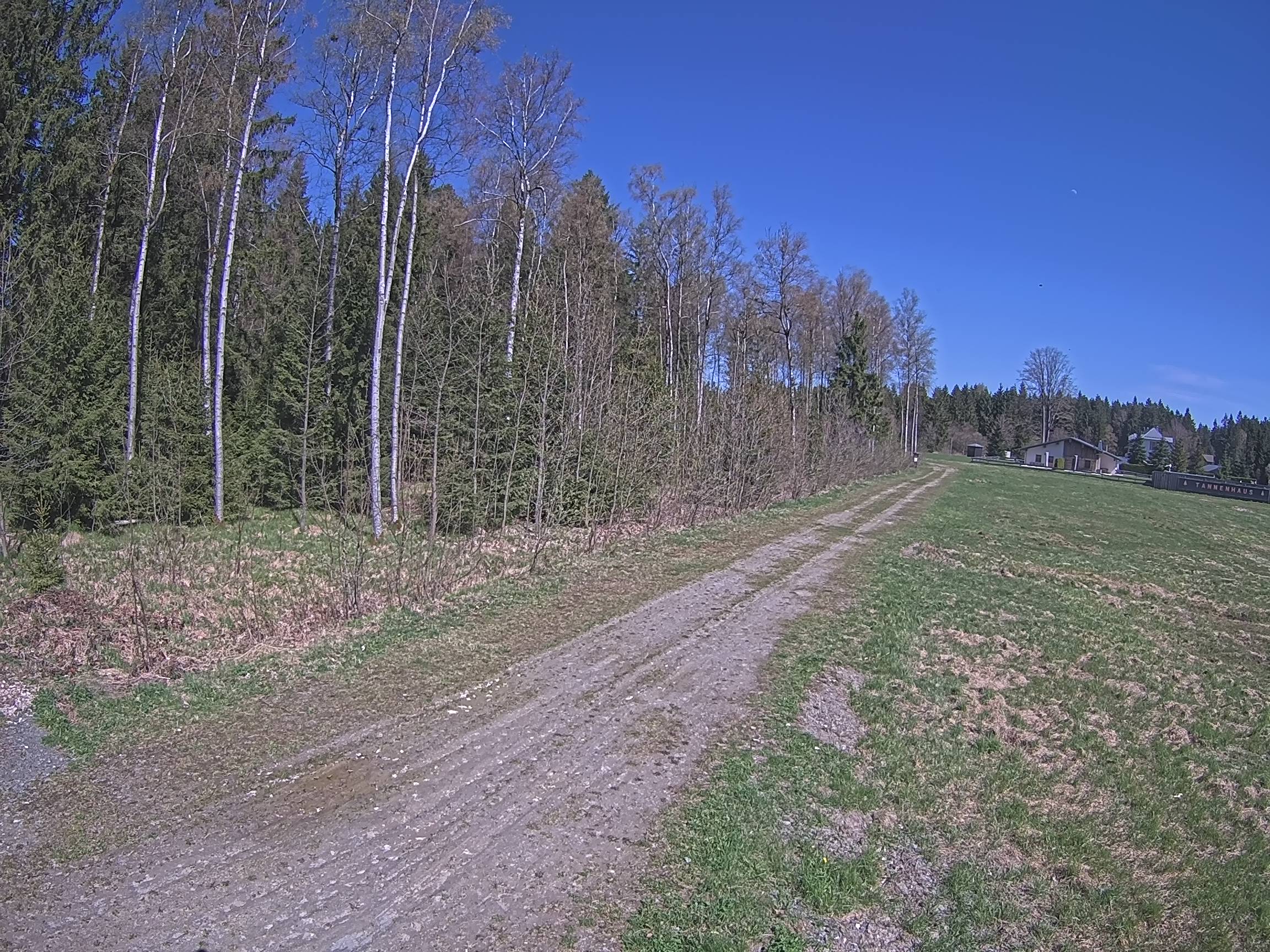 Webcam Schöneck Bogen