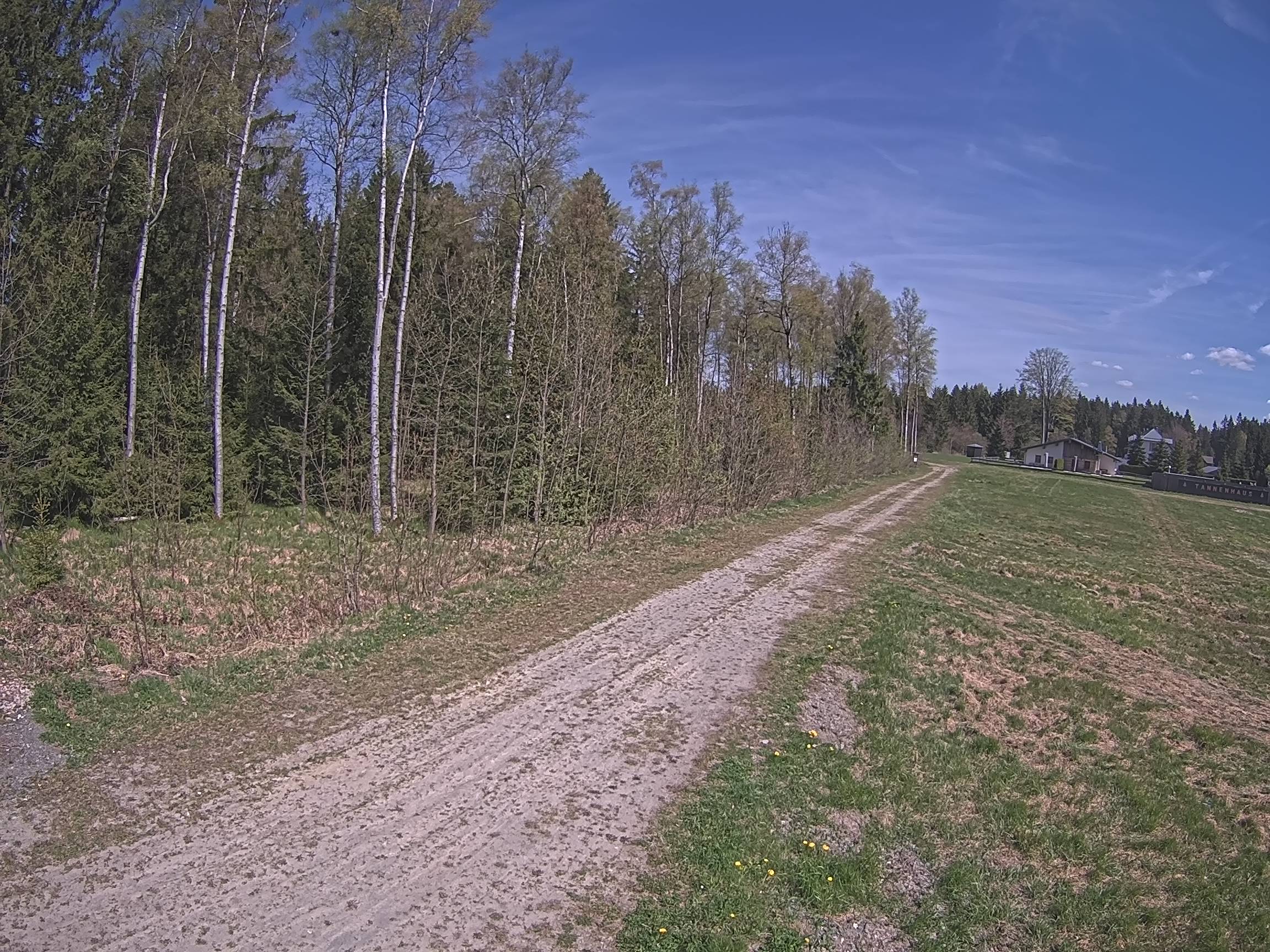 Webcam Schöneck Bogen