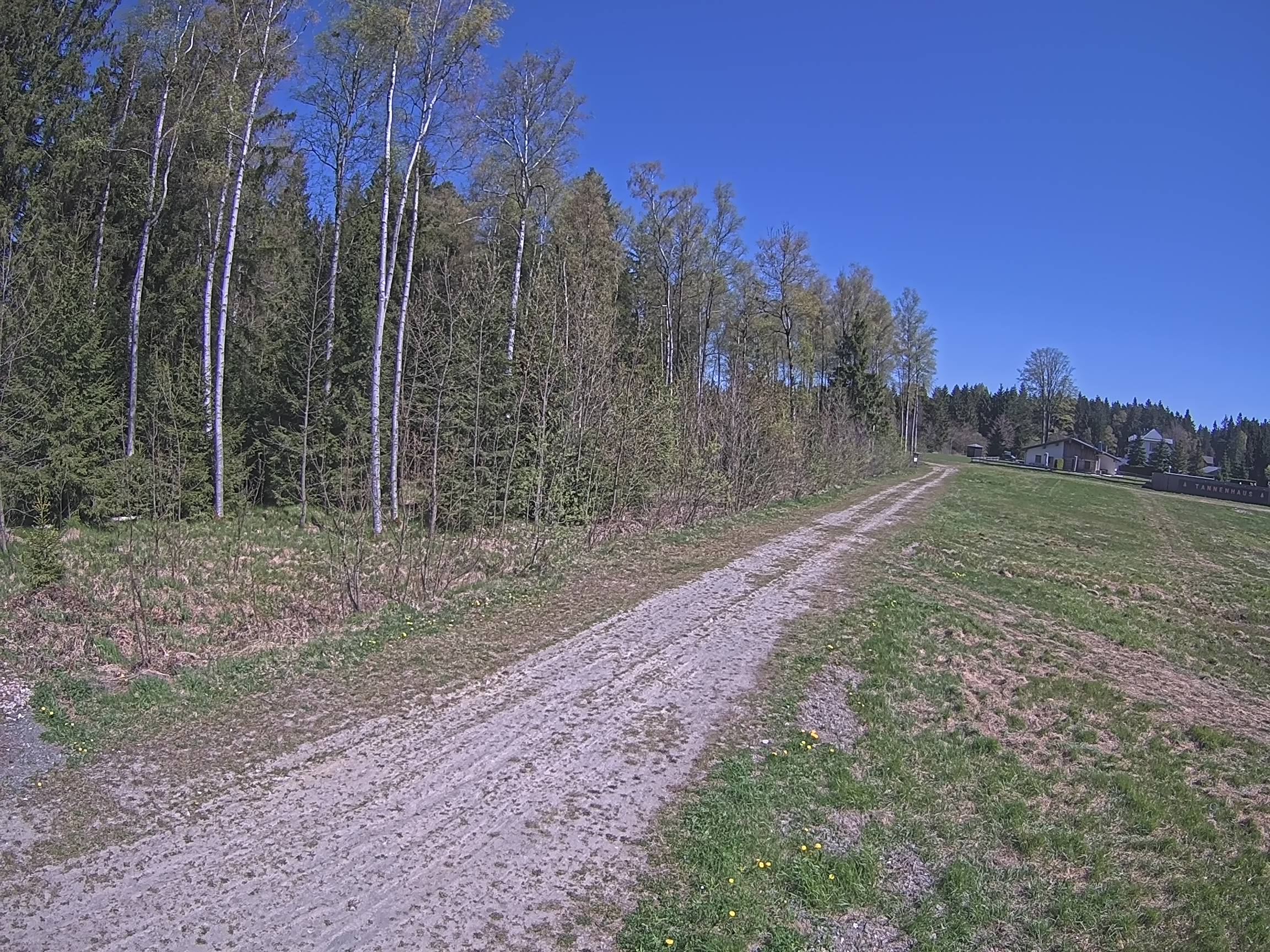 Webcam Schöneck Bogen