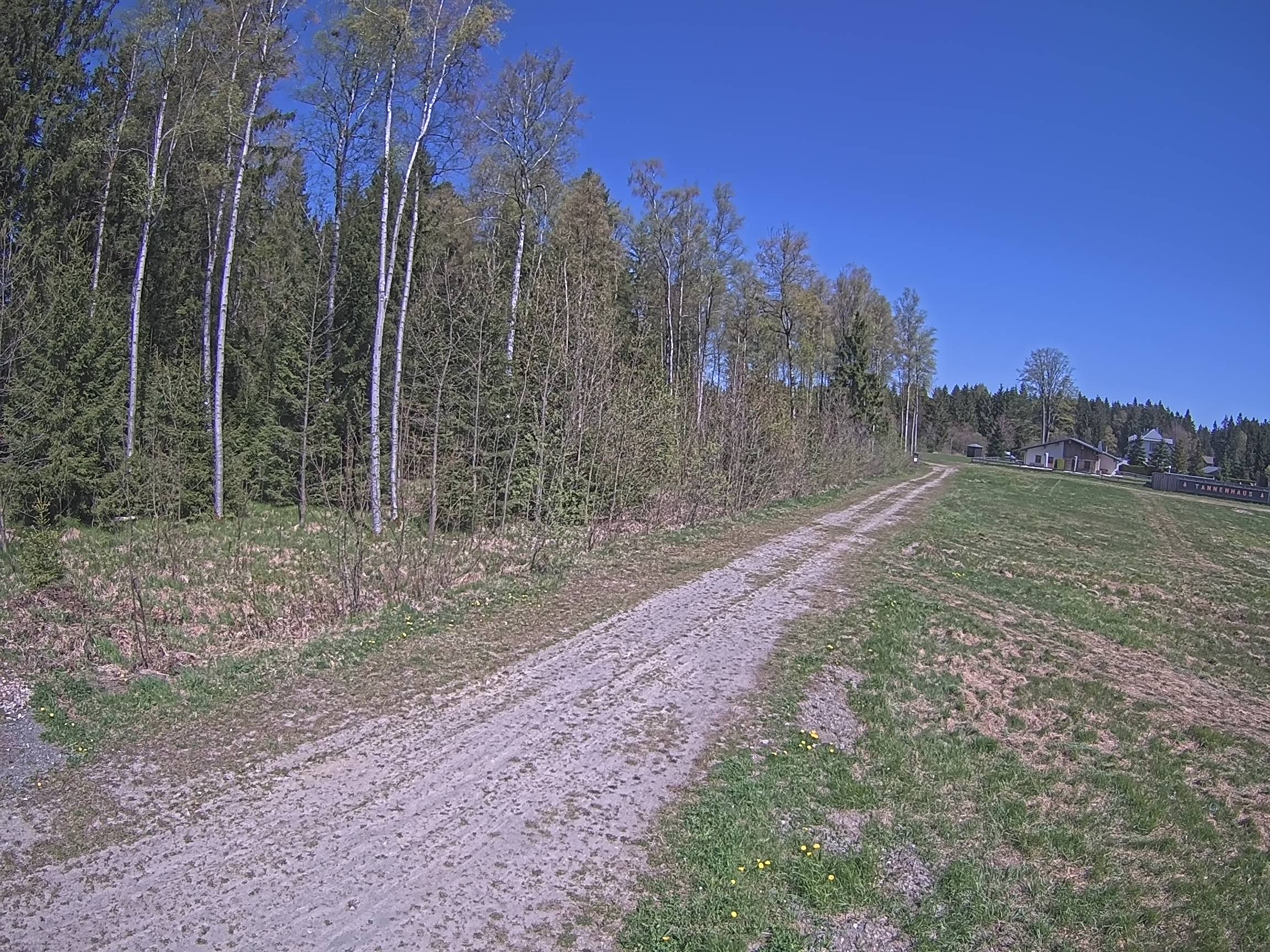 Webcam Schöneck Bogen