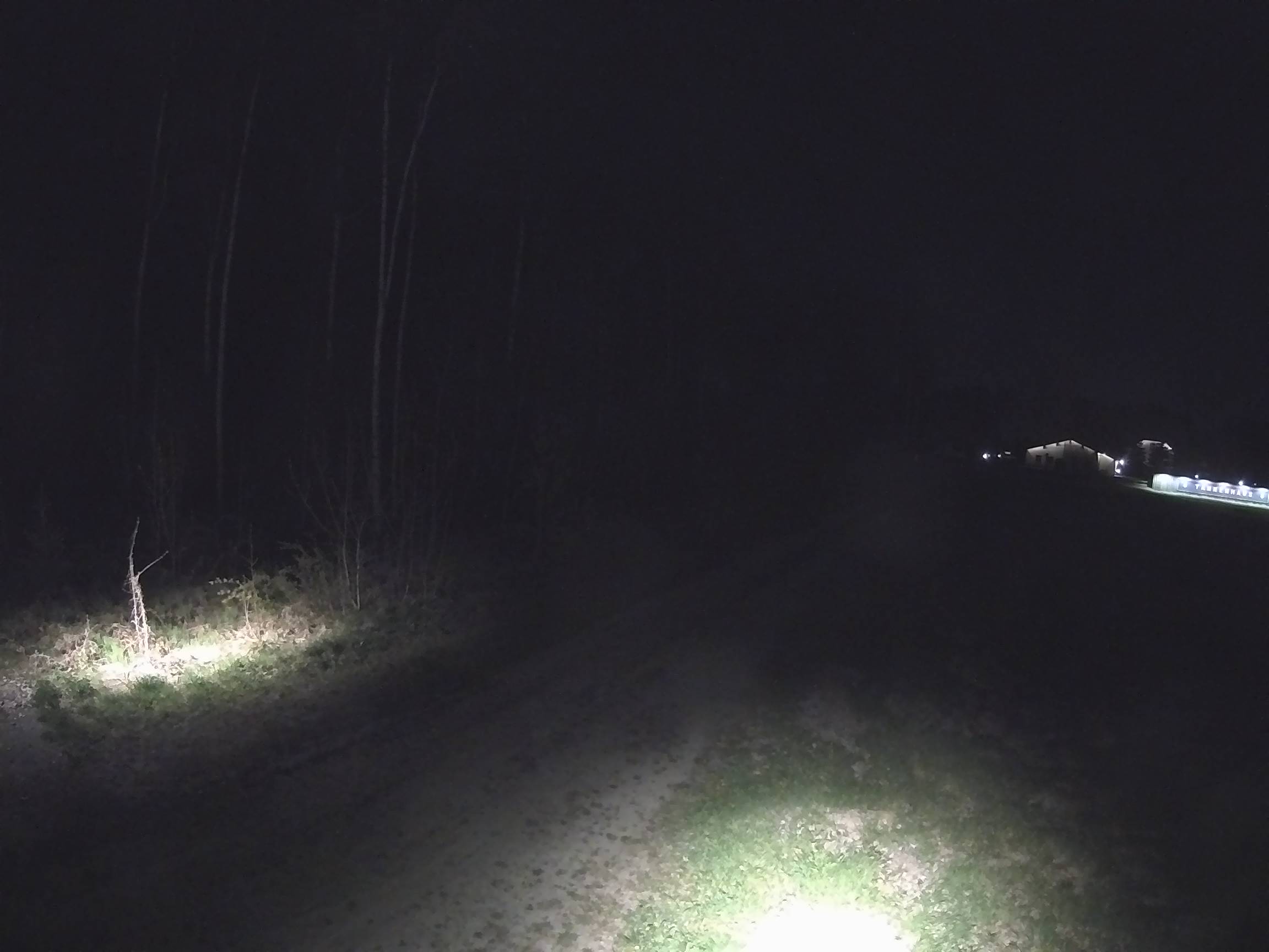 Webcam Schöneck Bogen