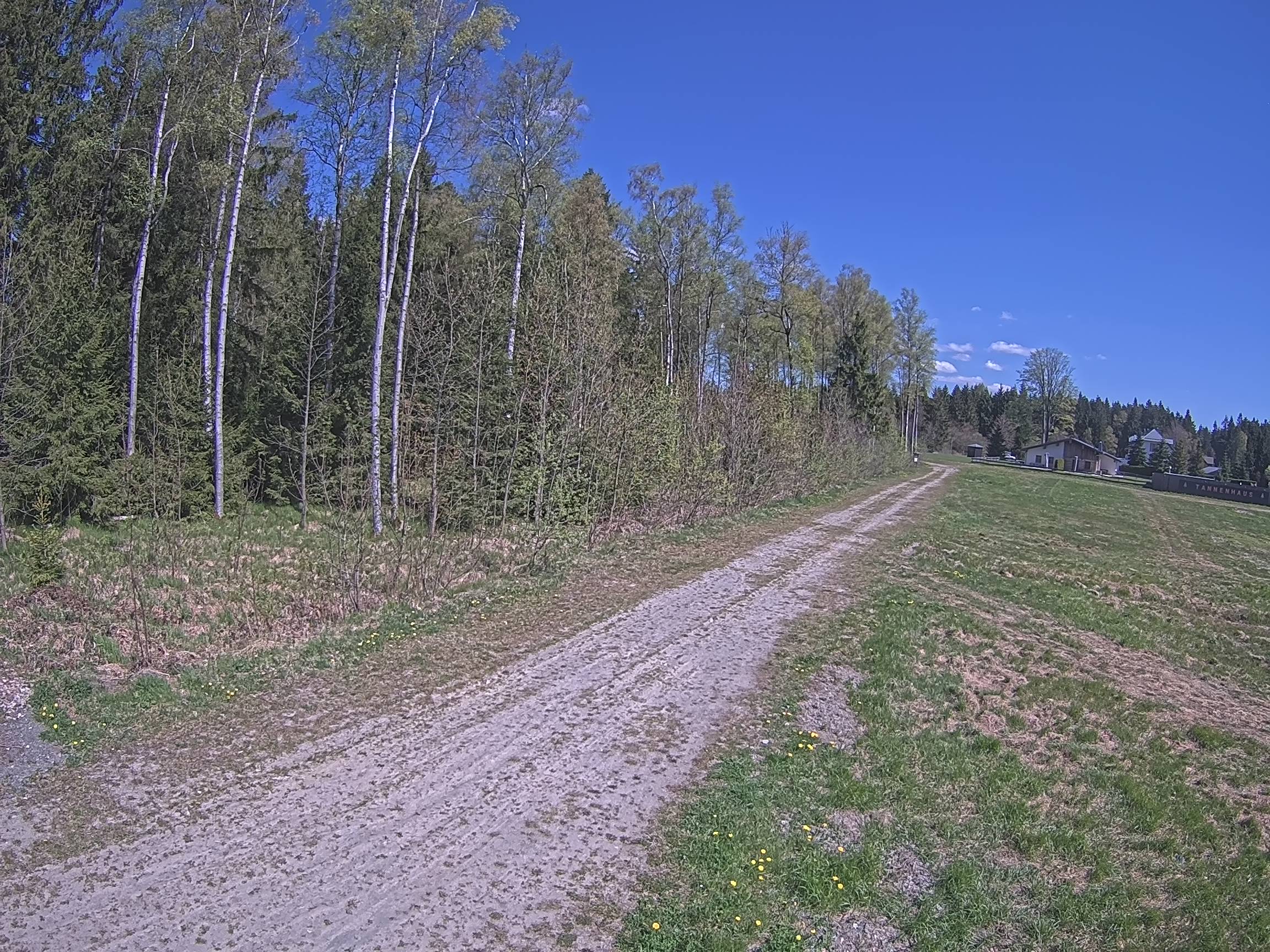 Webcam Schöneck Bogen