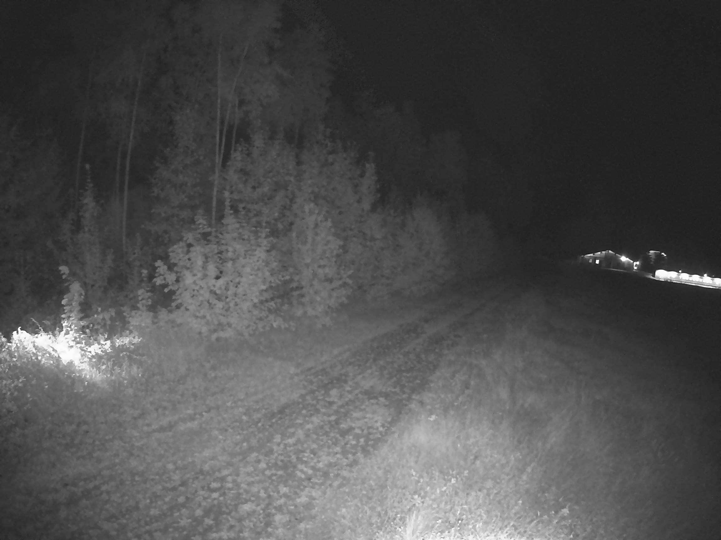 Webcam Schöneck Bogen